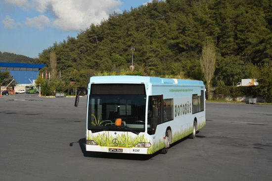 botobus_1.gif