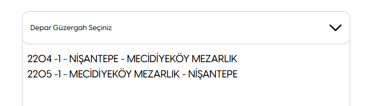 Ekran görüntüsü 2025-07-09 225605.png