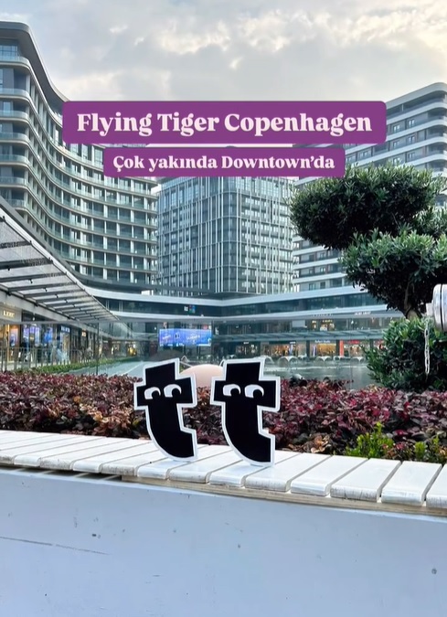 flying_tiger.jpg