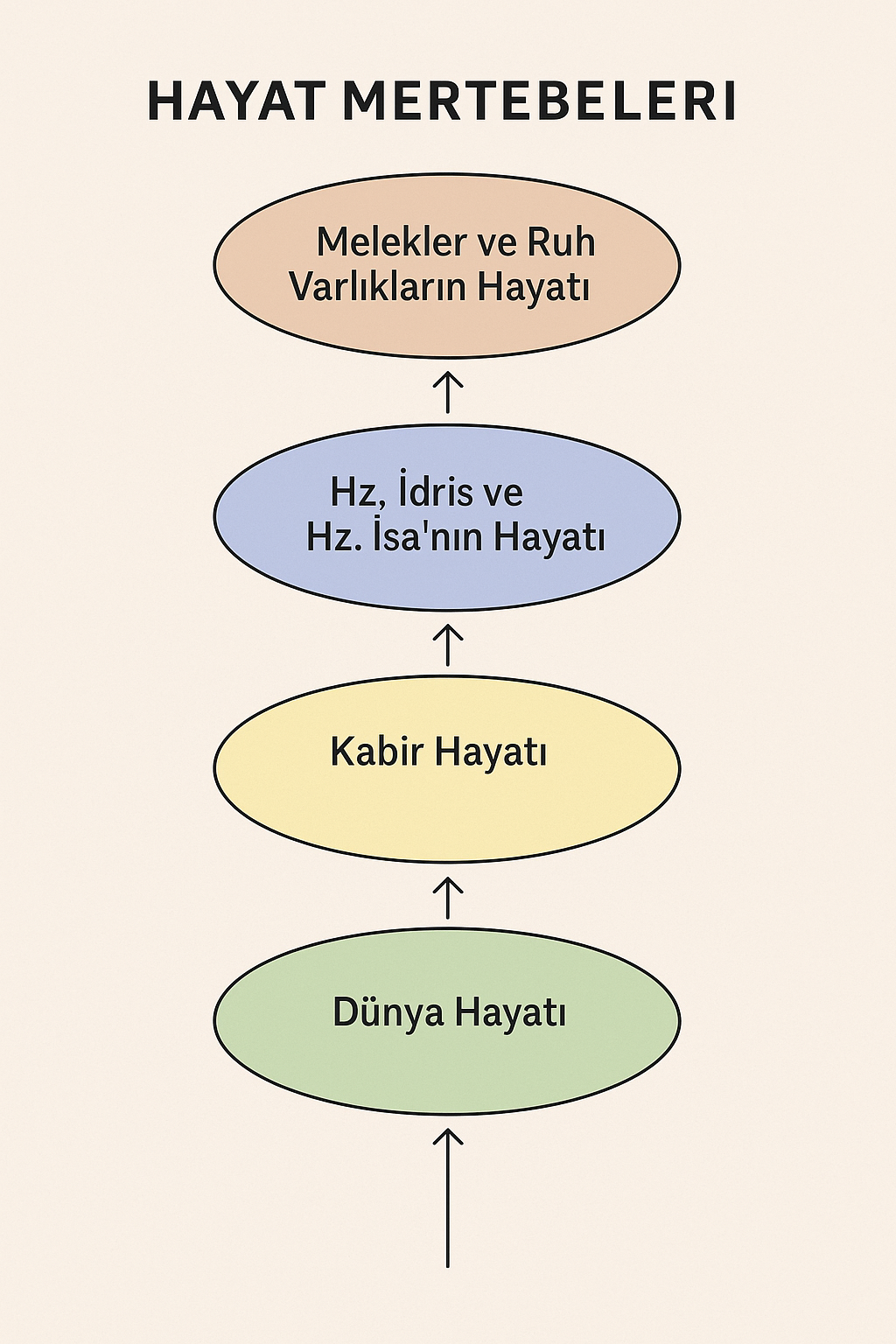 hayat_mertebeleri.png