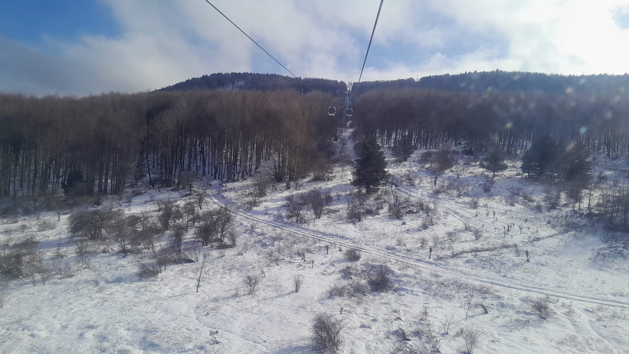 IMG-20241224-WA0029.jpg