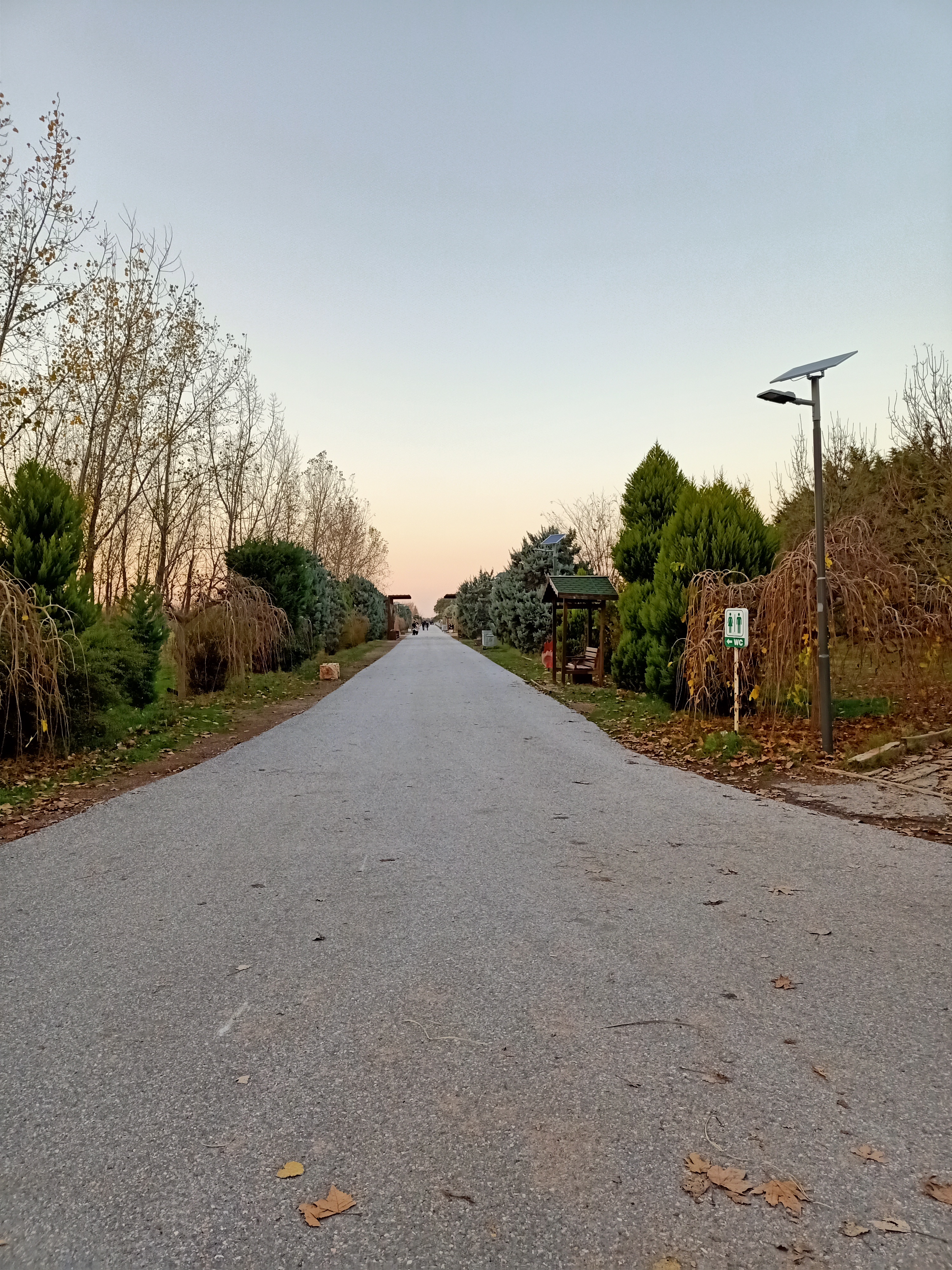 IMG20201216173310.jpg