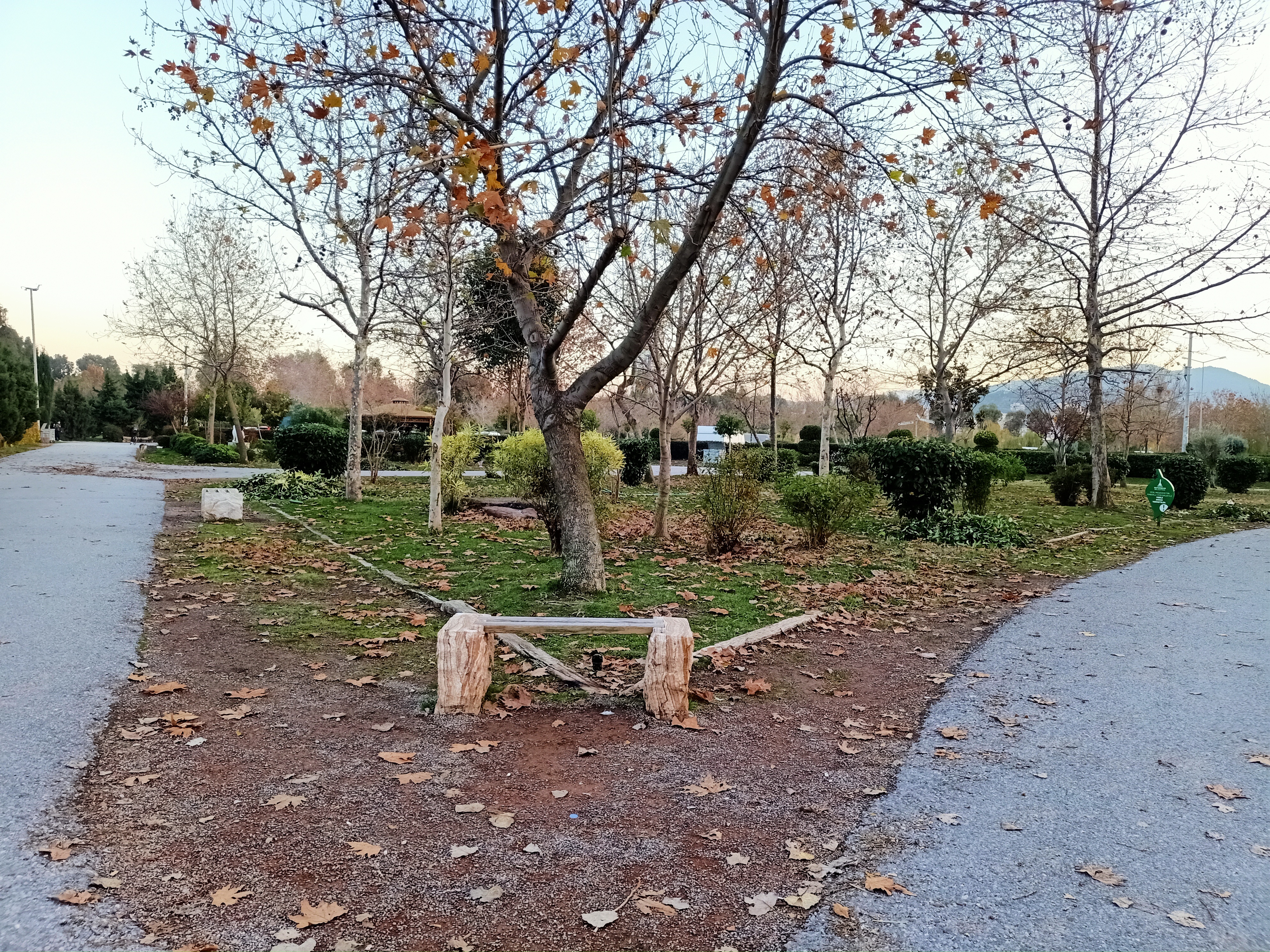 IMG20201216173646.jpg