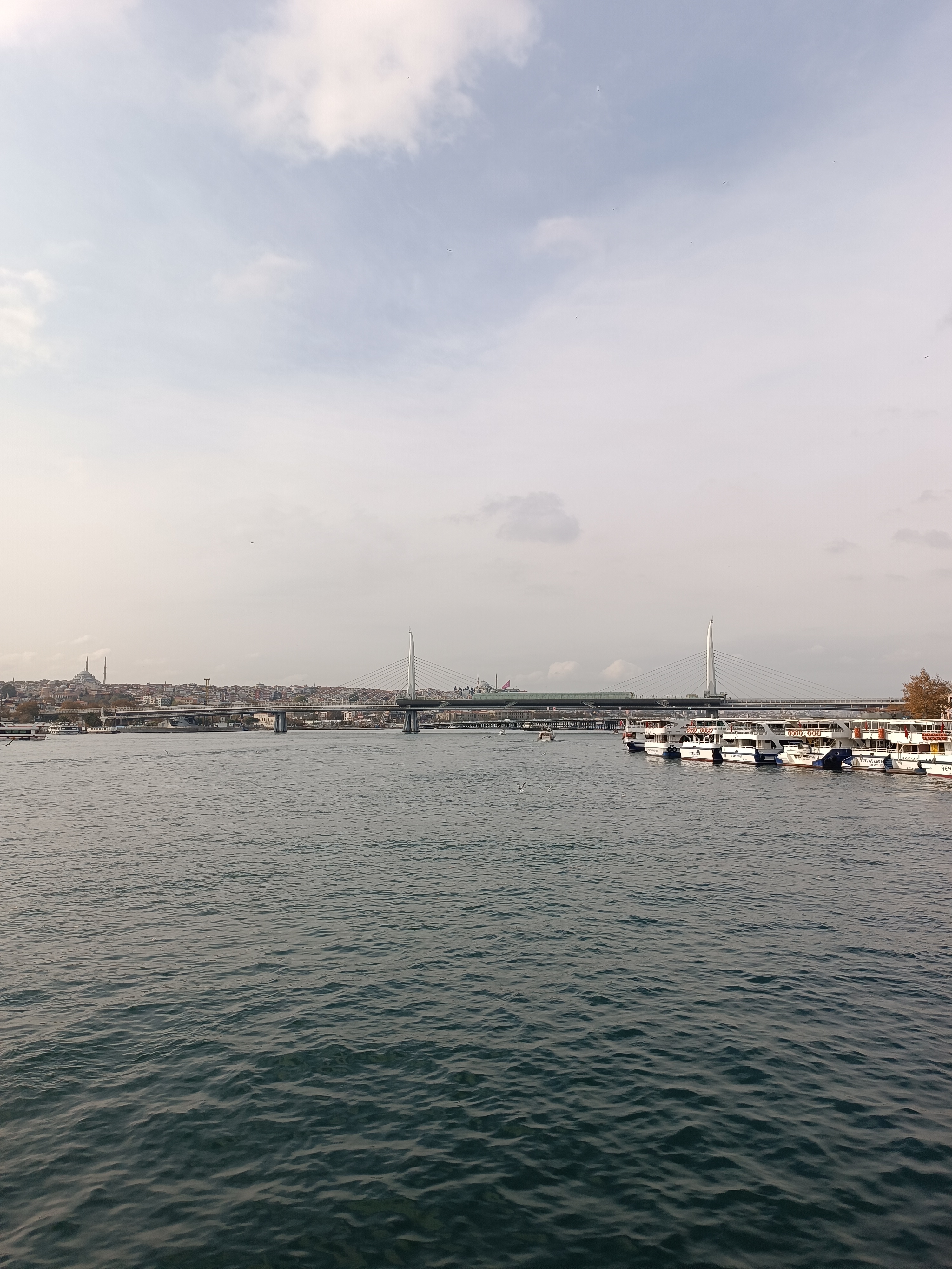 IMG_20241111_140034.jpg