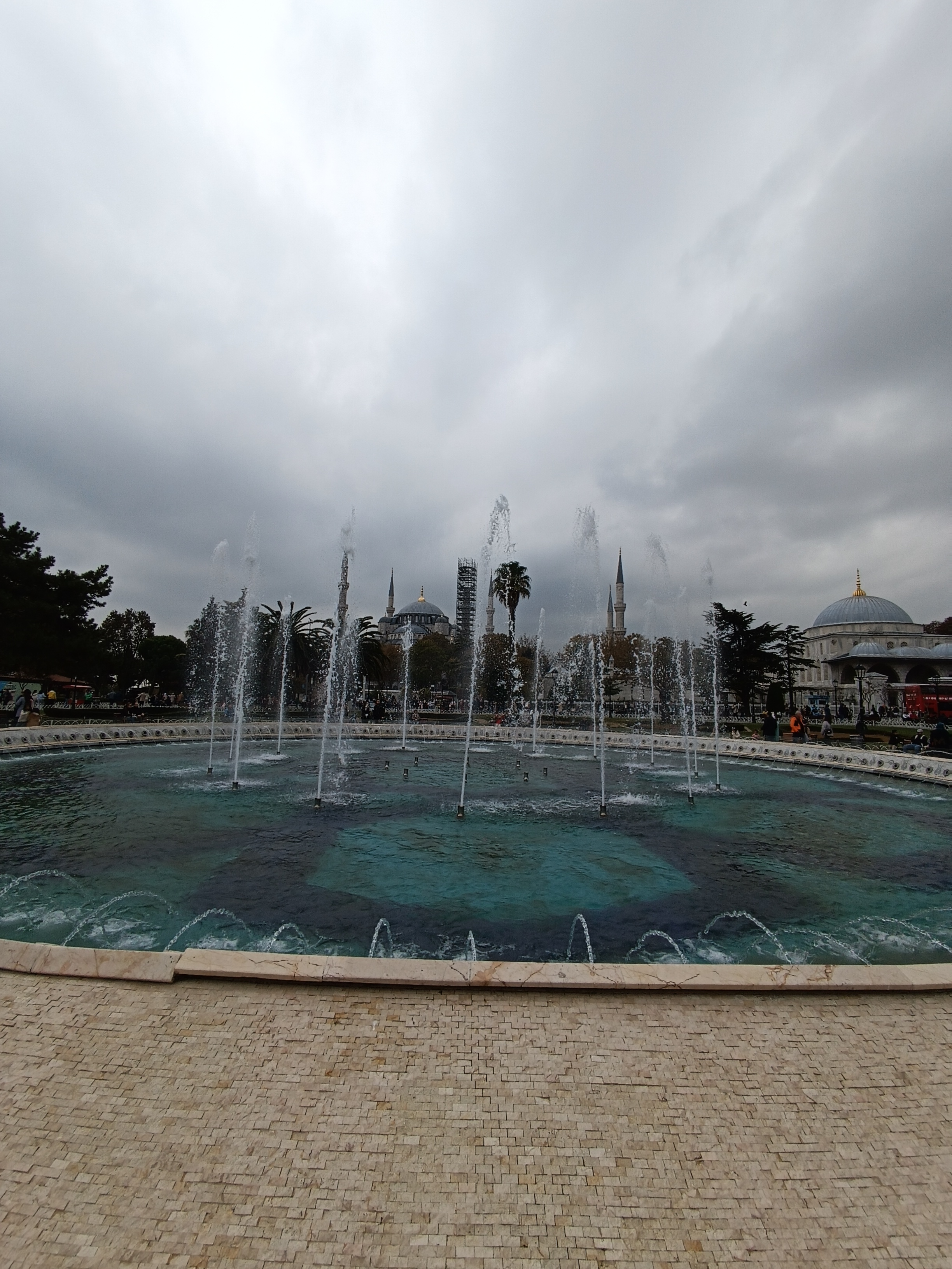 IMG_20241113_143547.jpg