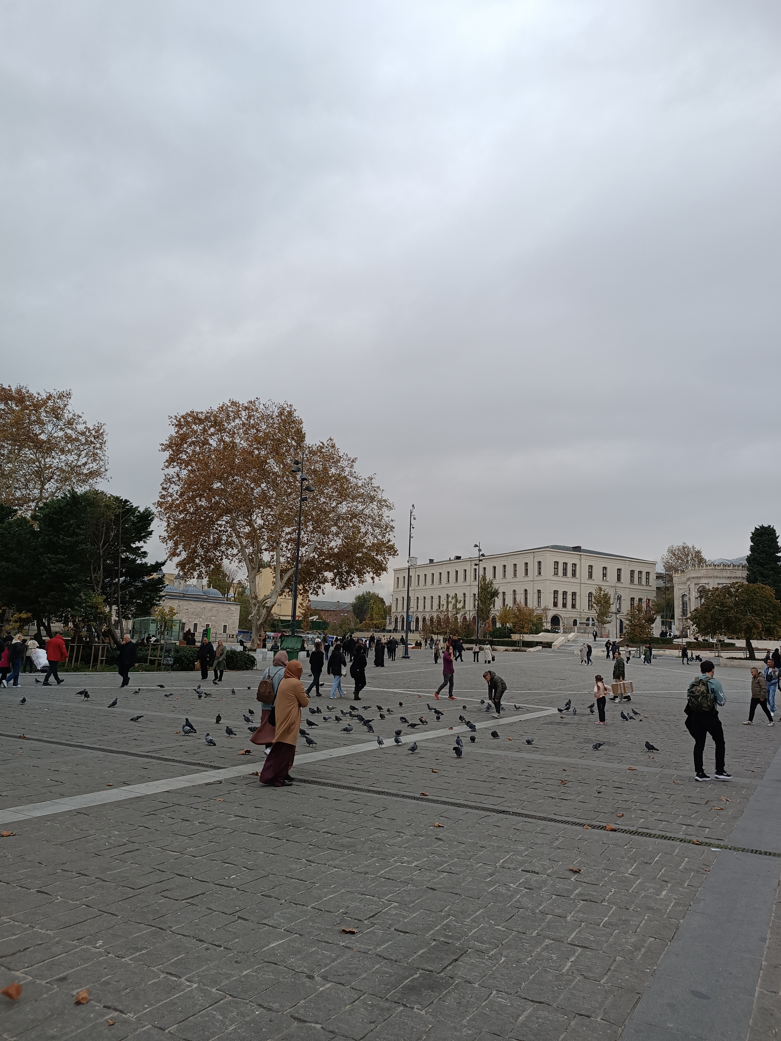 IMG_20241113_151107.jpg