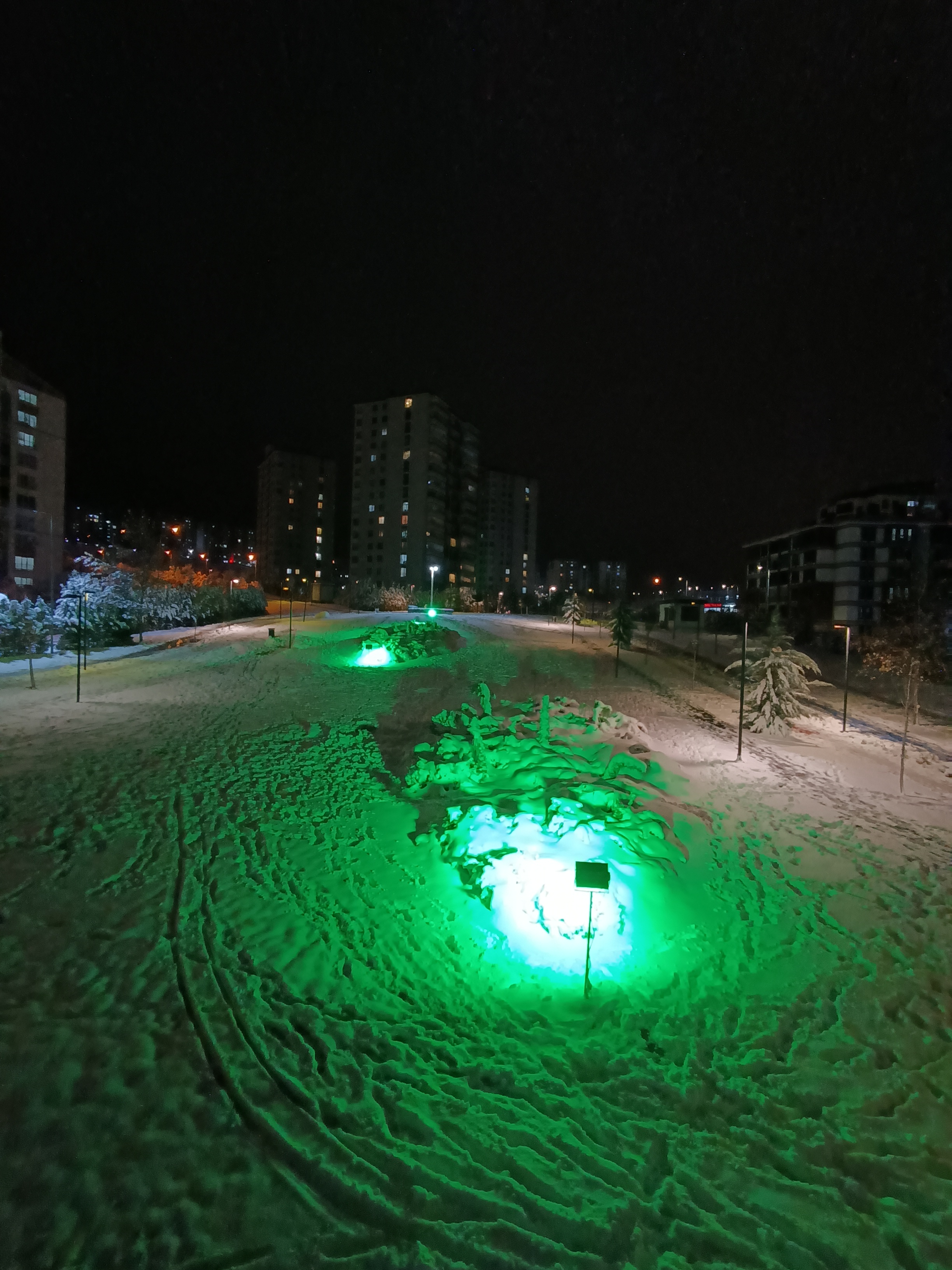 IMG_20241125_192321.jpg
