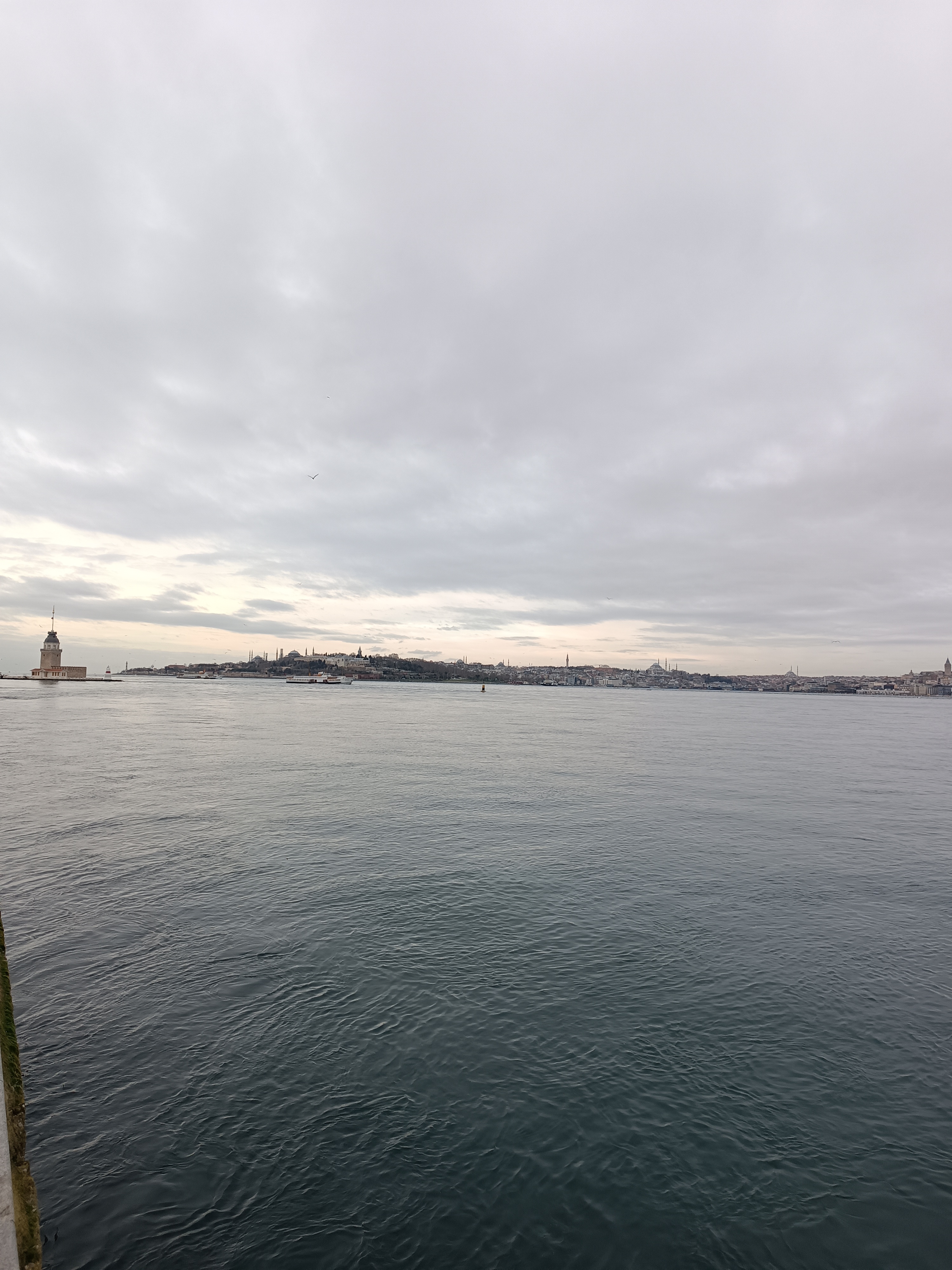 IMG_20250105_091301.jpg