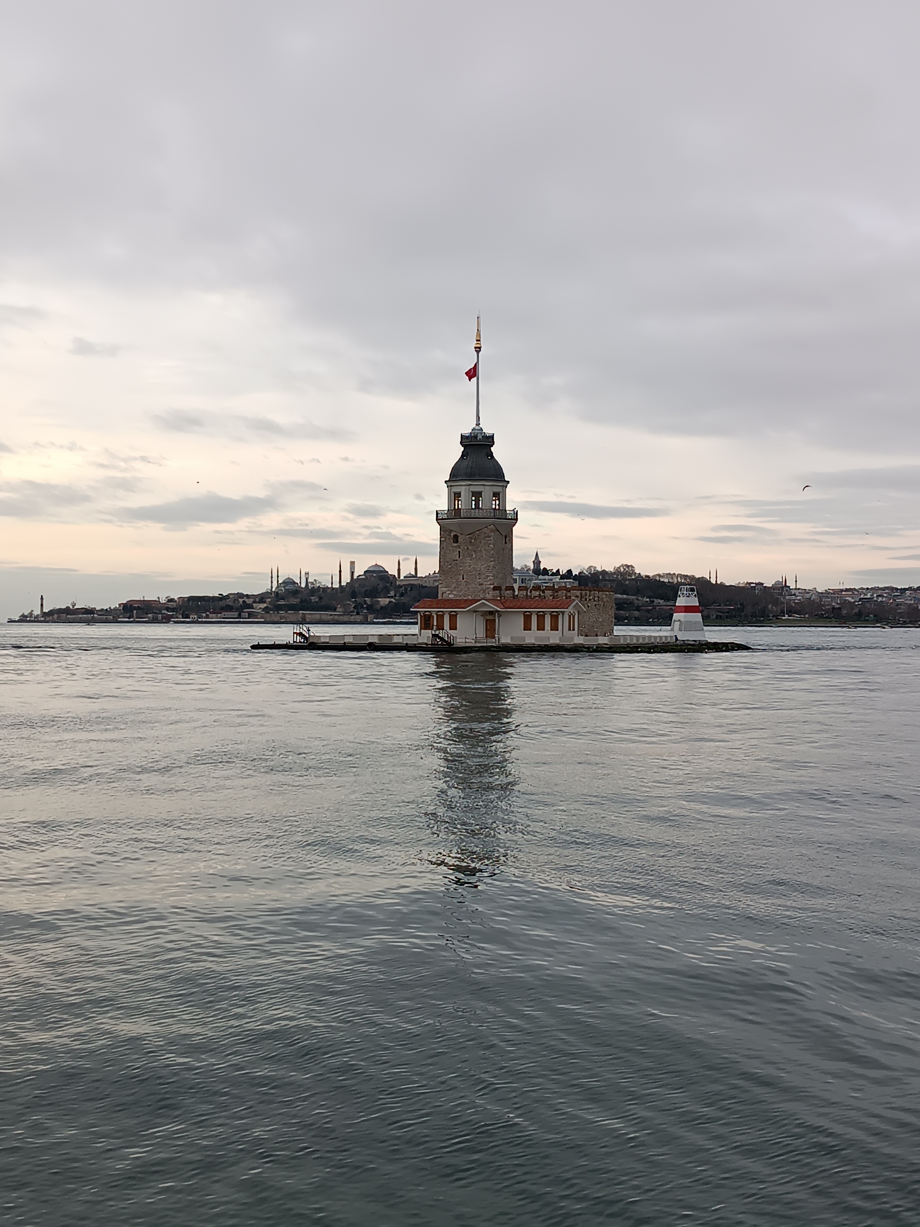 IMG_20250105_092109.jpg