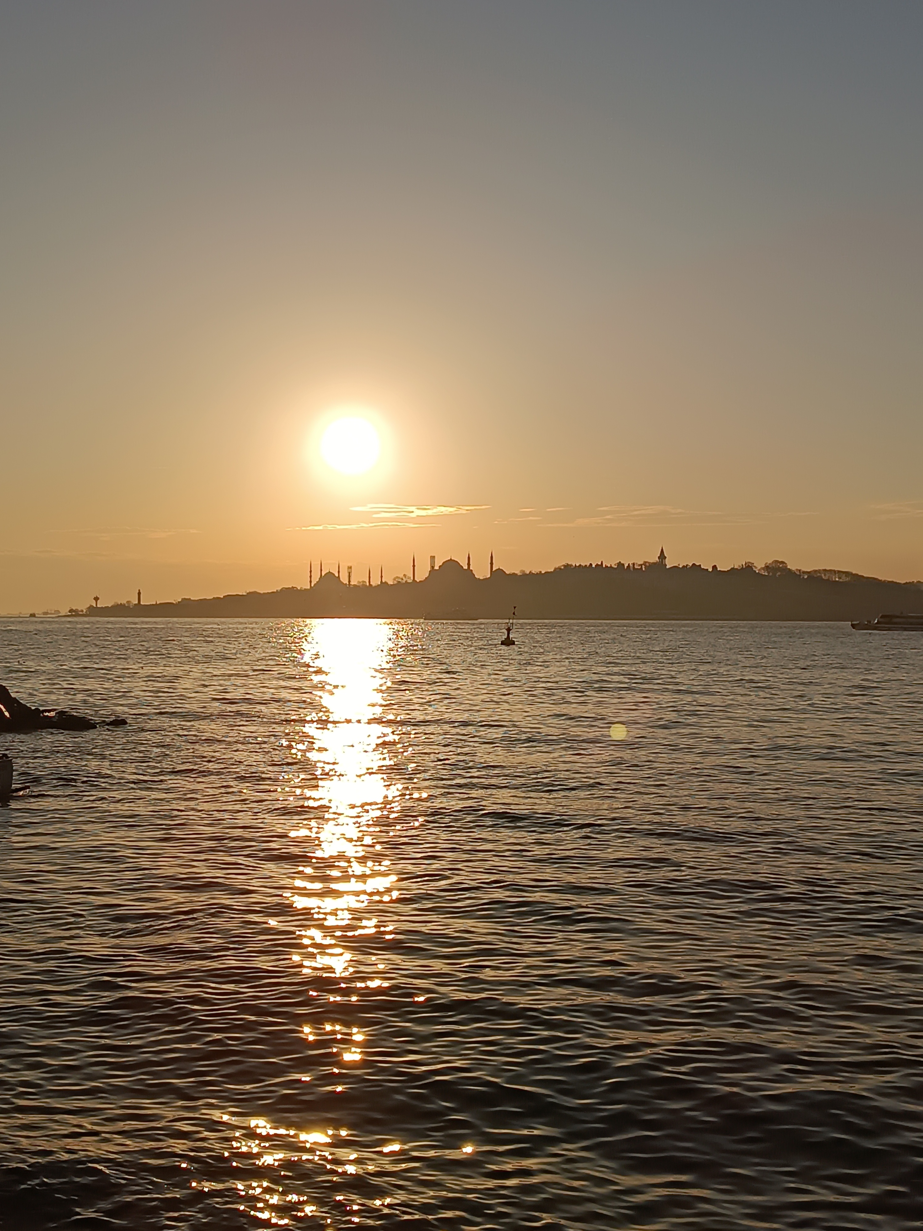 IMG_20250129_174015.jpg