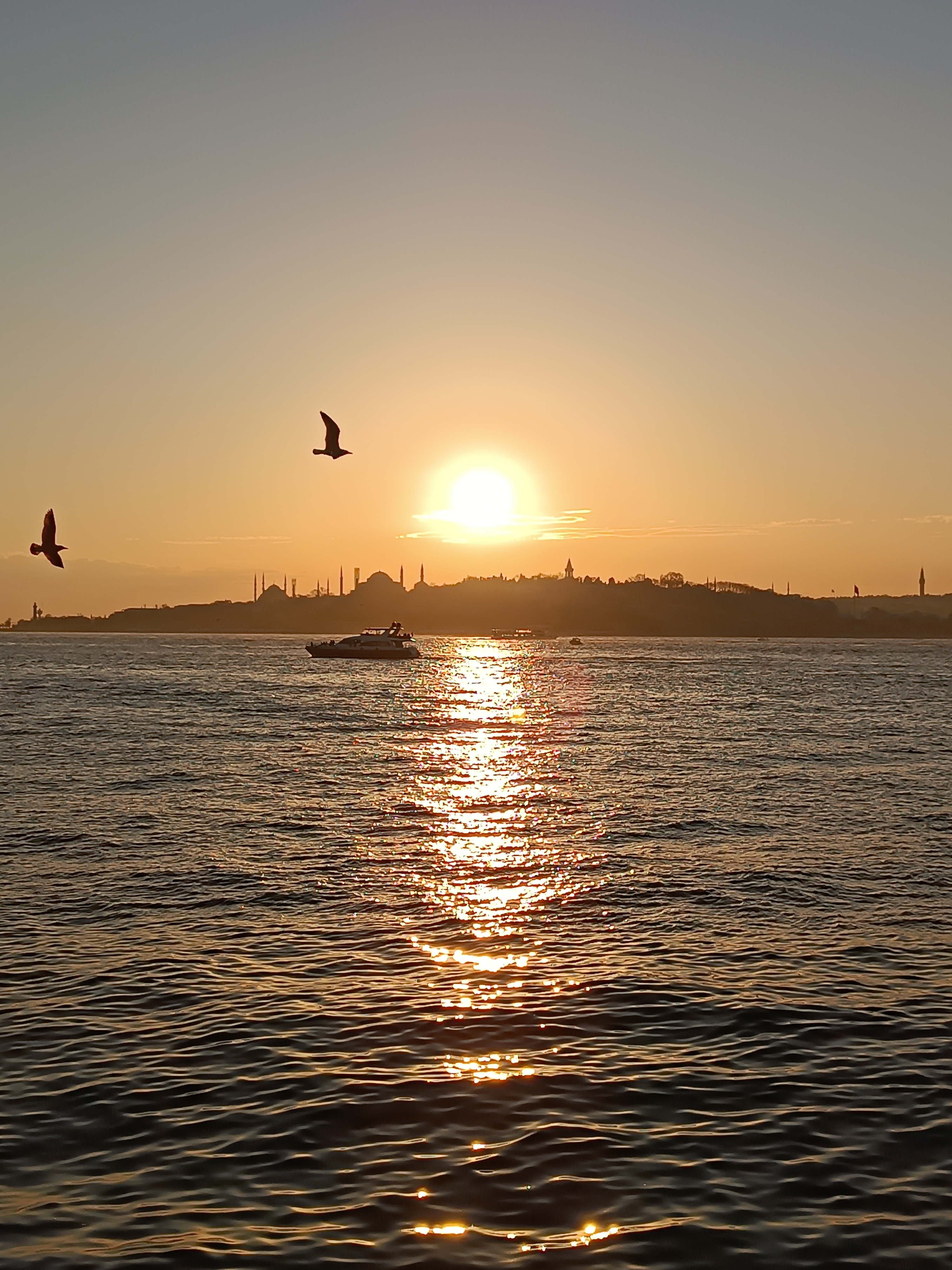IMG_20250129_174853.jpg