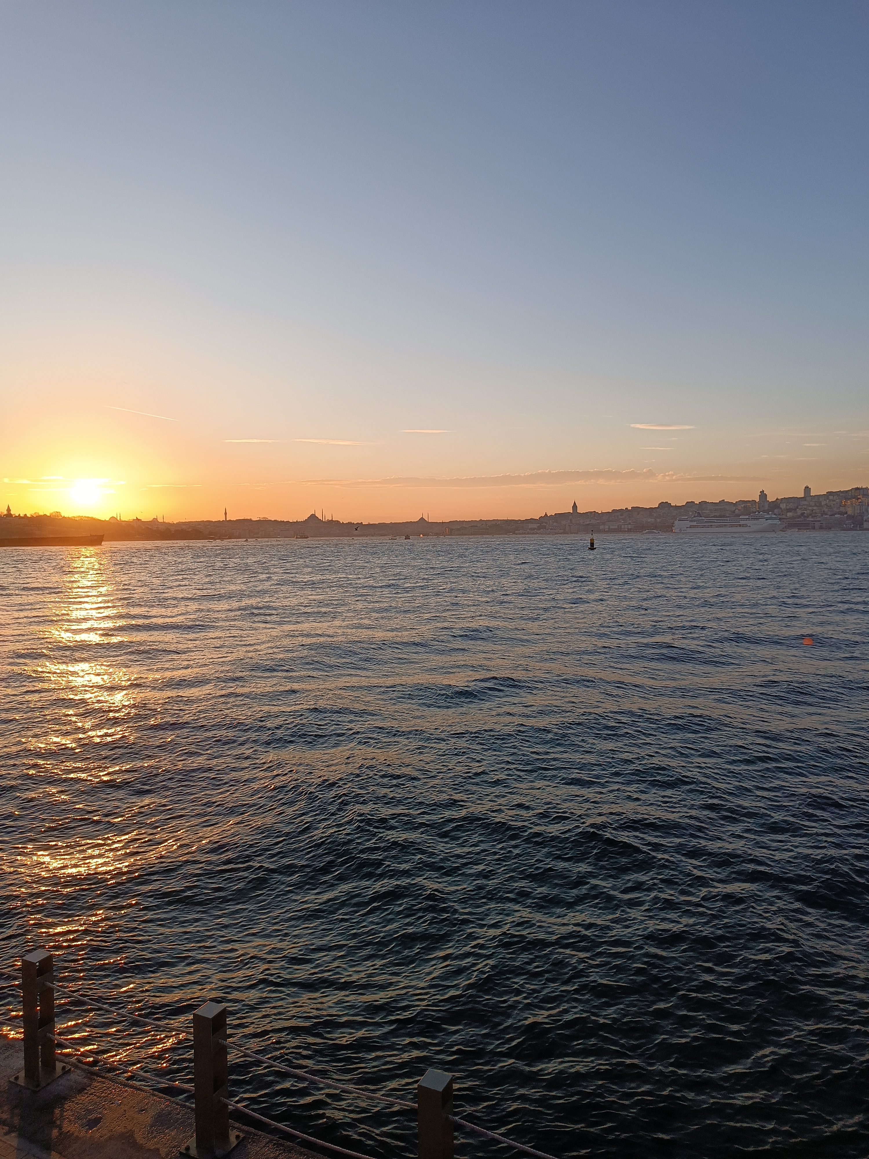 IMG_20250129_175614.jpg