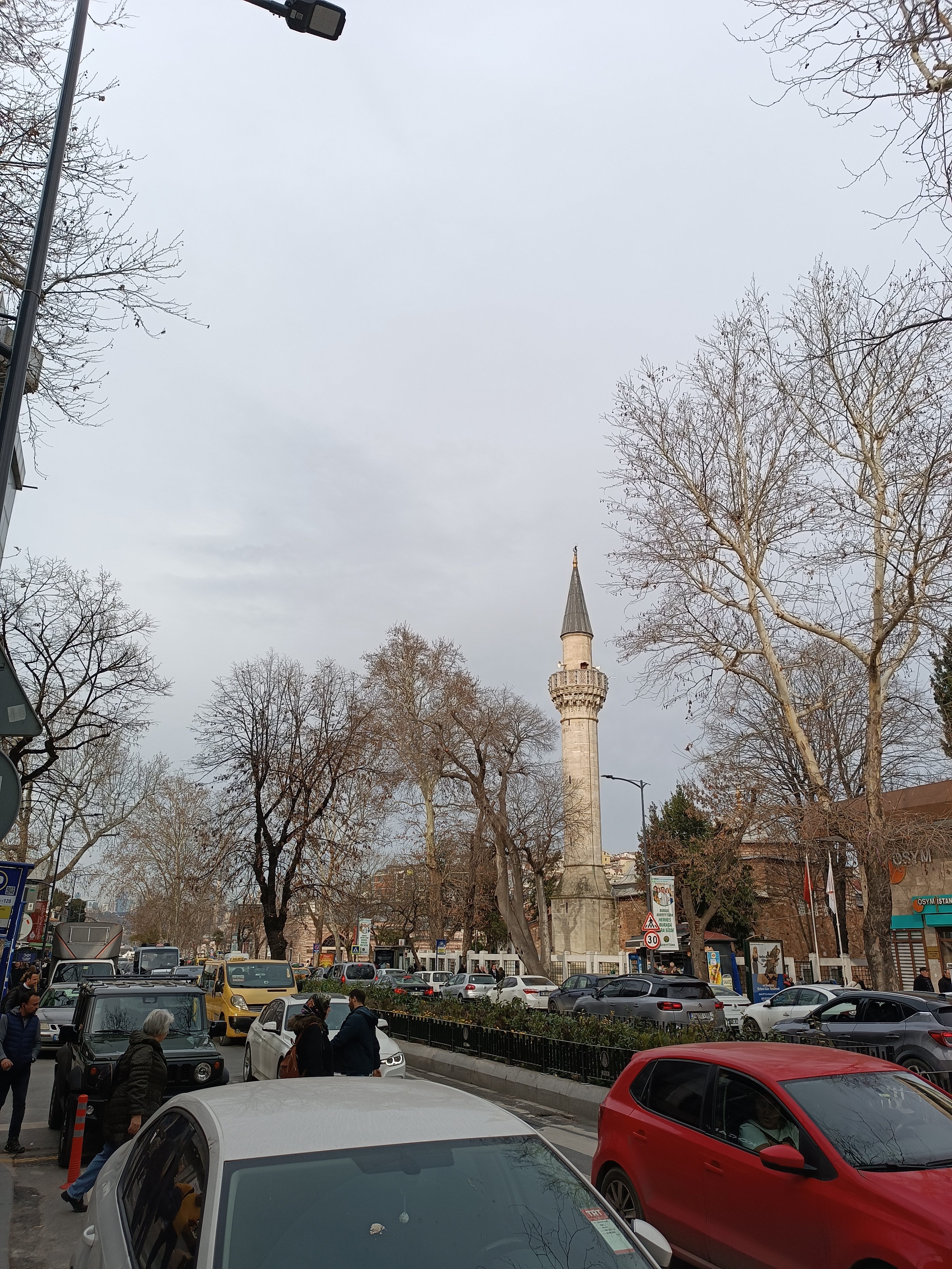 IMG_20250130_152825.jpg