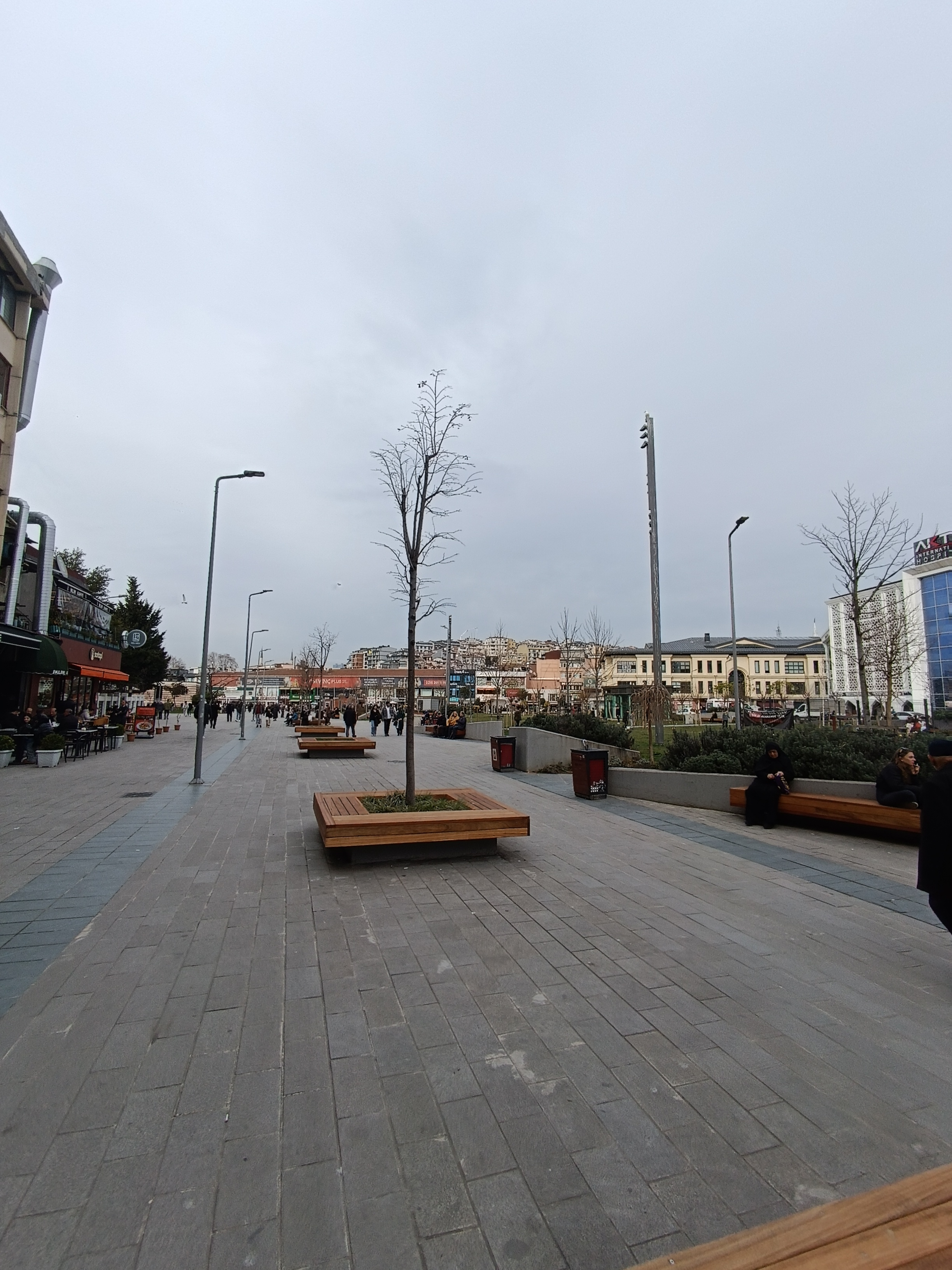 IMG_20250130_153340.jpg