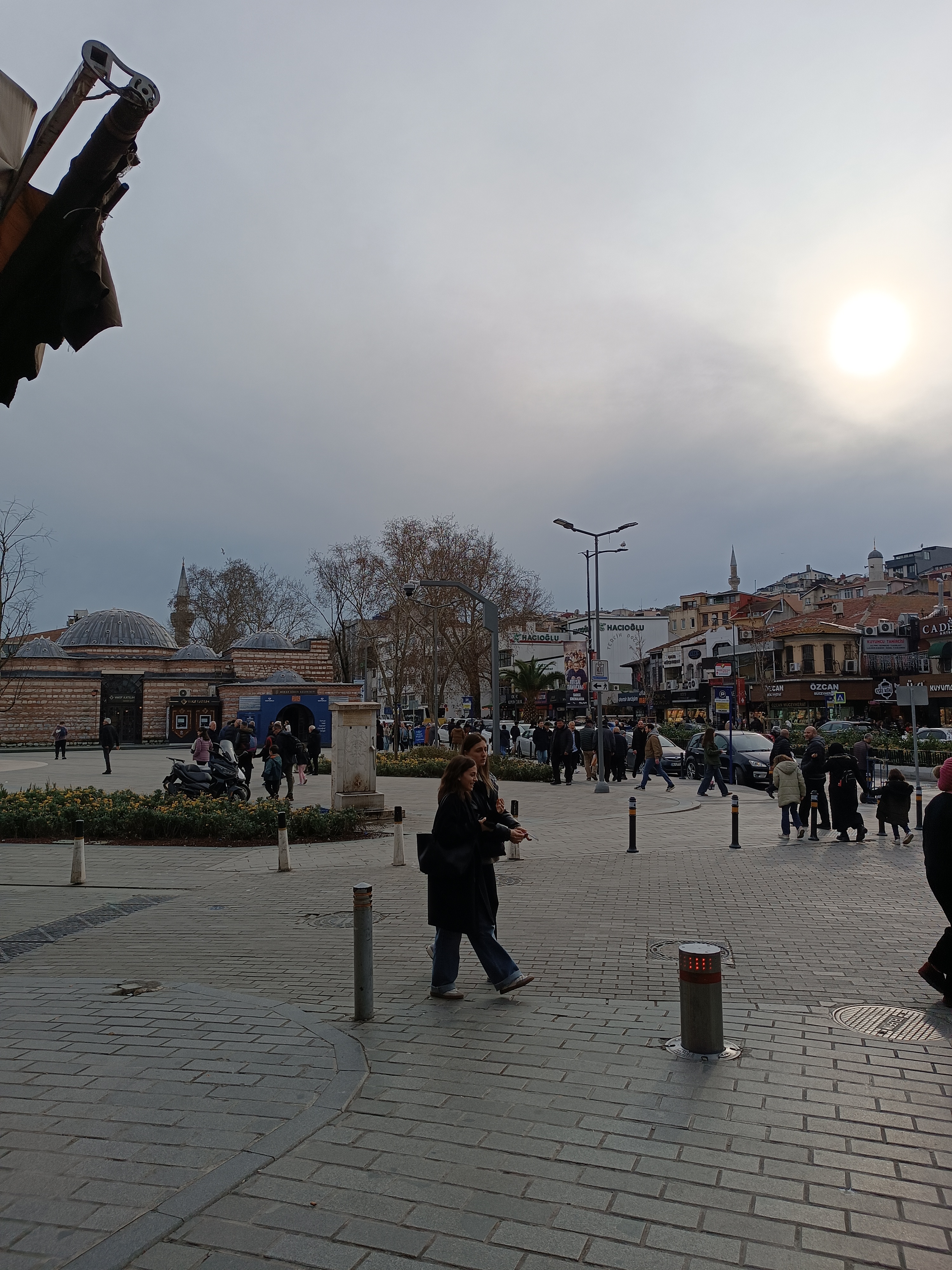 IMG_20250130_155050.jpg