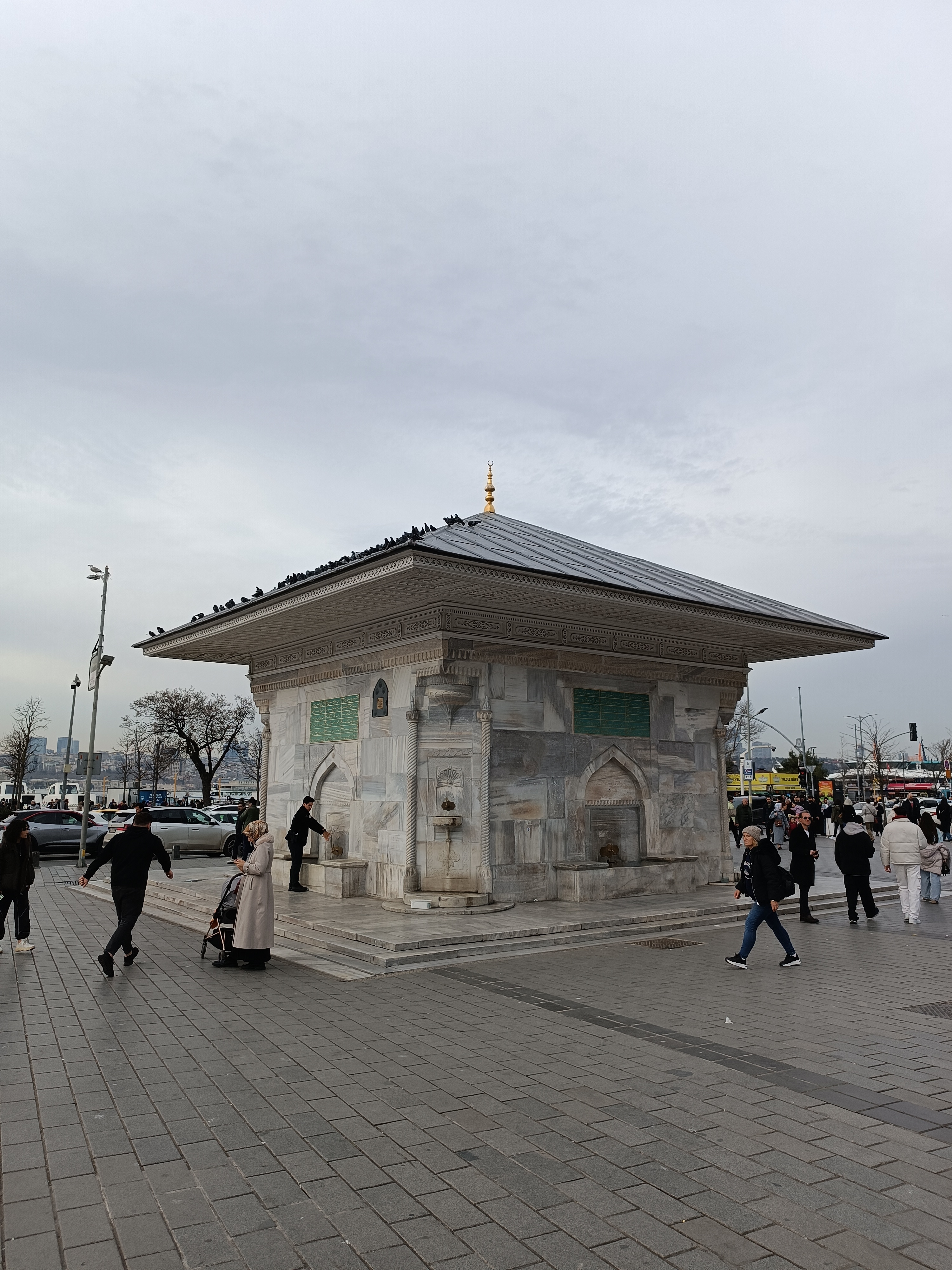 IMG_20250130_155738.jpg