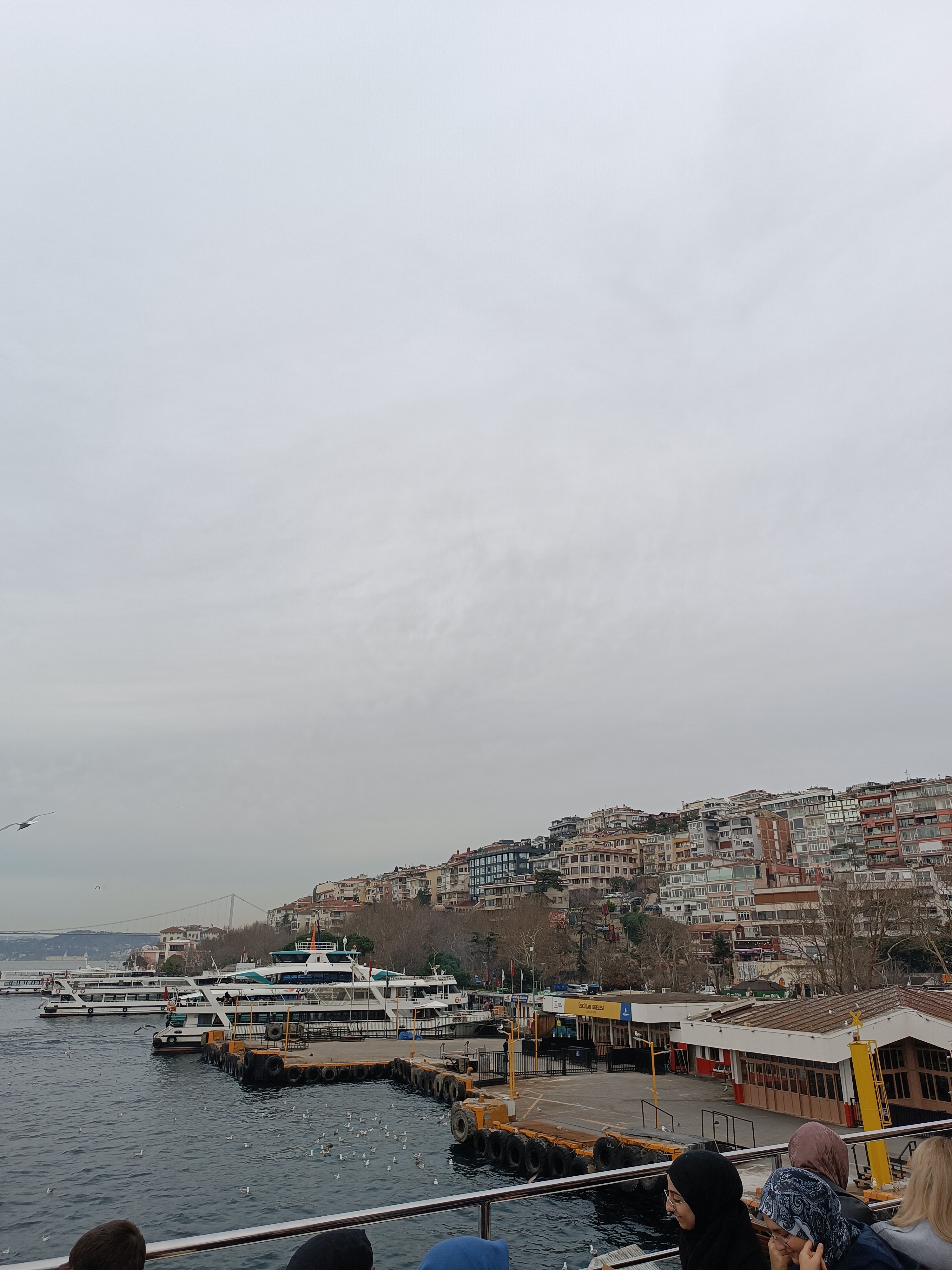 IMG_20250130_162108.jpg