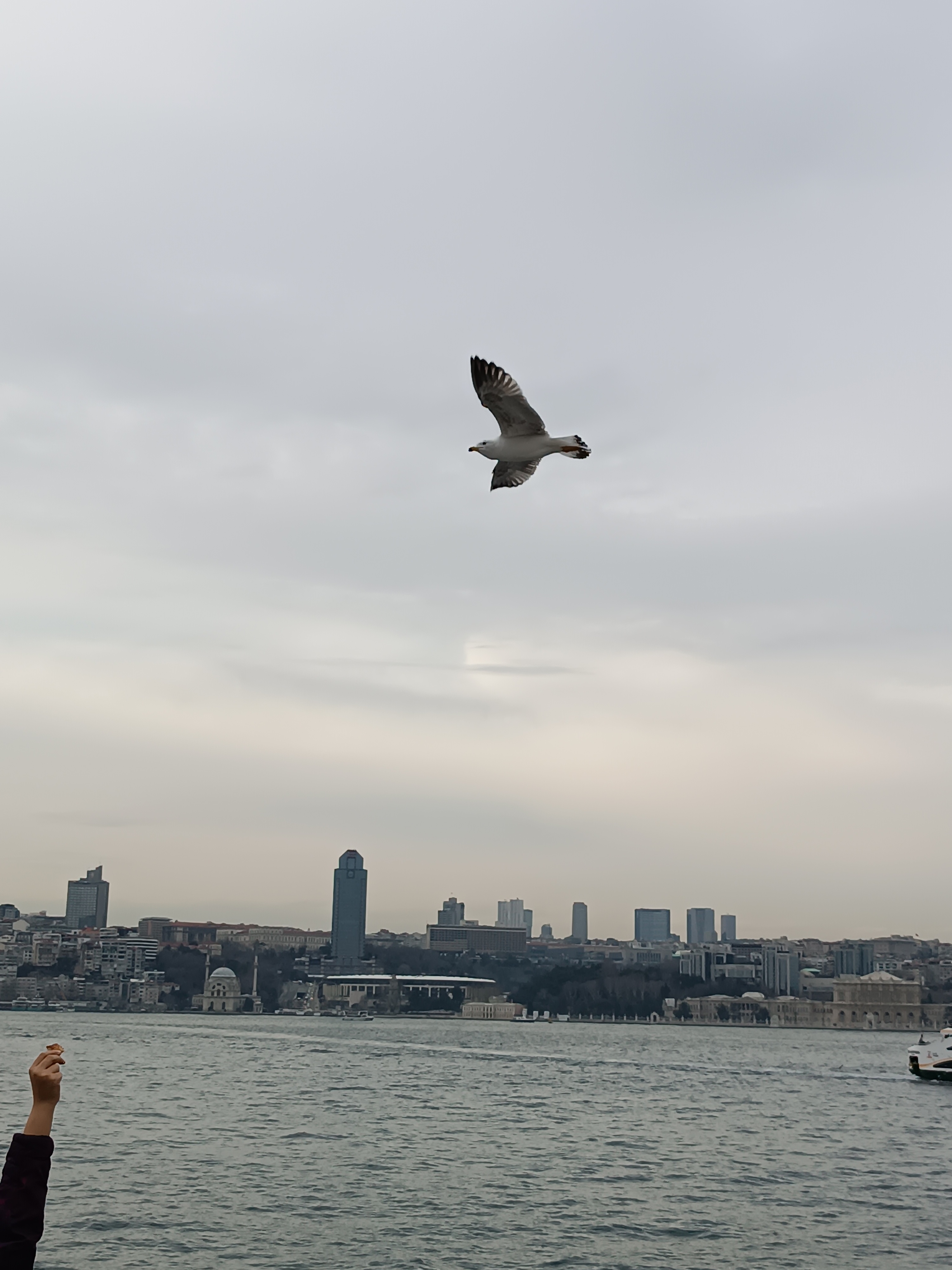IMG_20250130_162318.jpg
