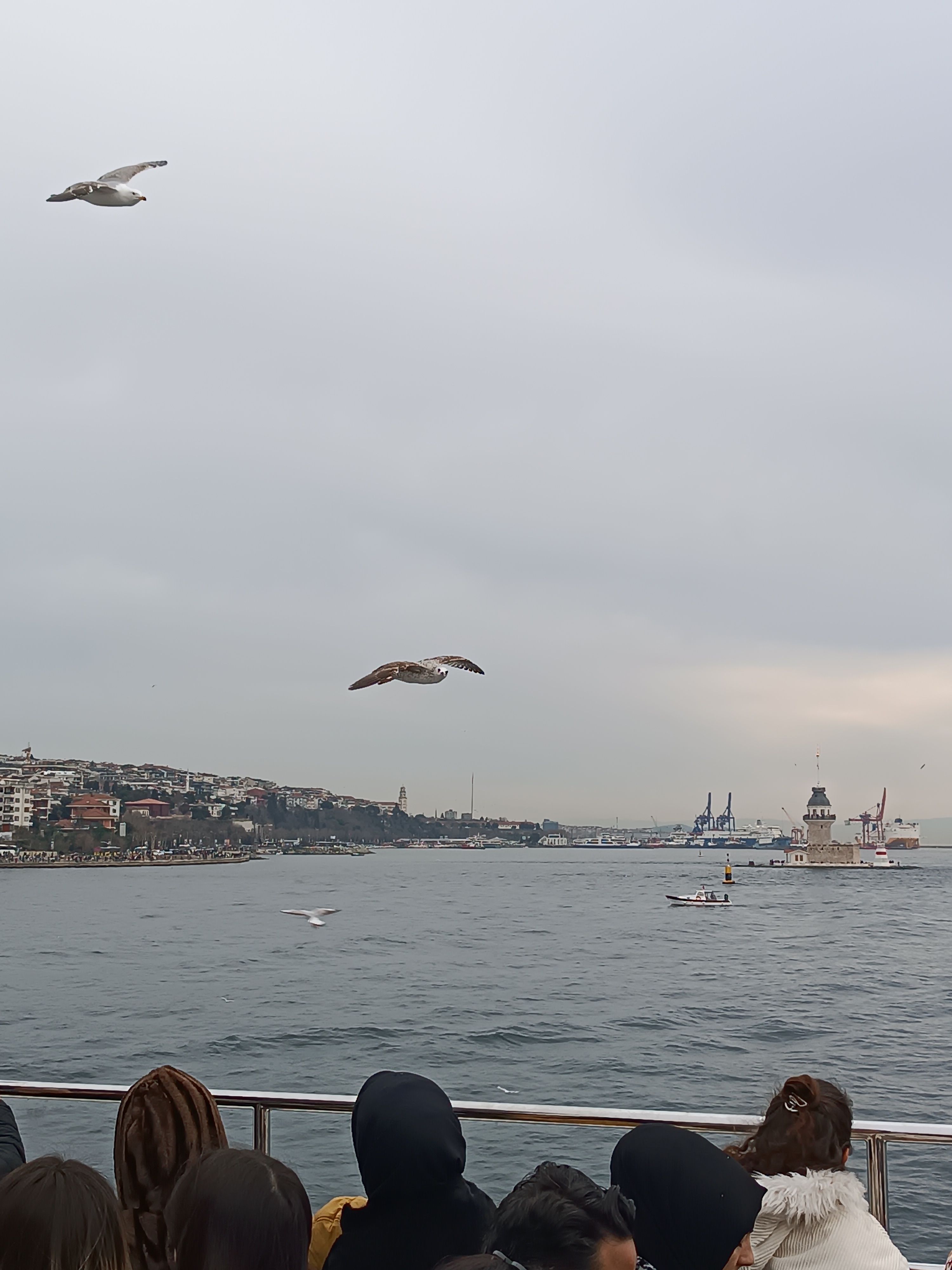 IMG_20250130_162443.jpg