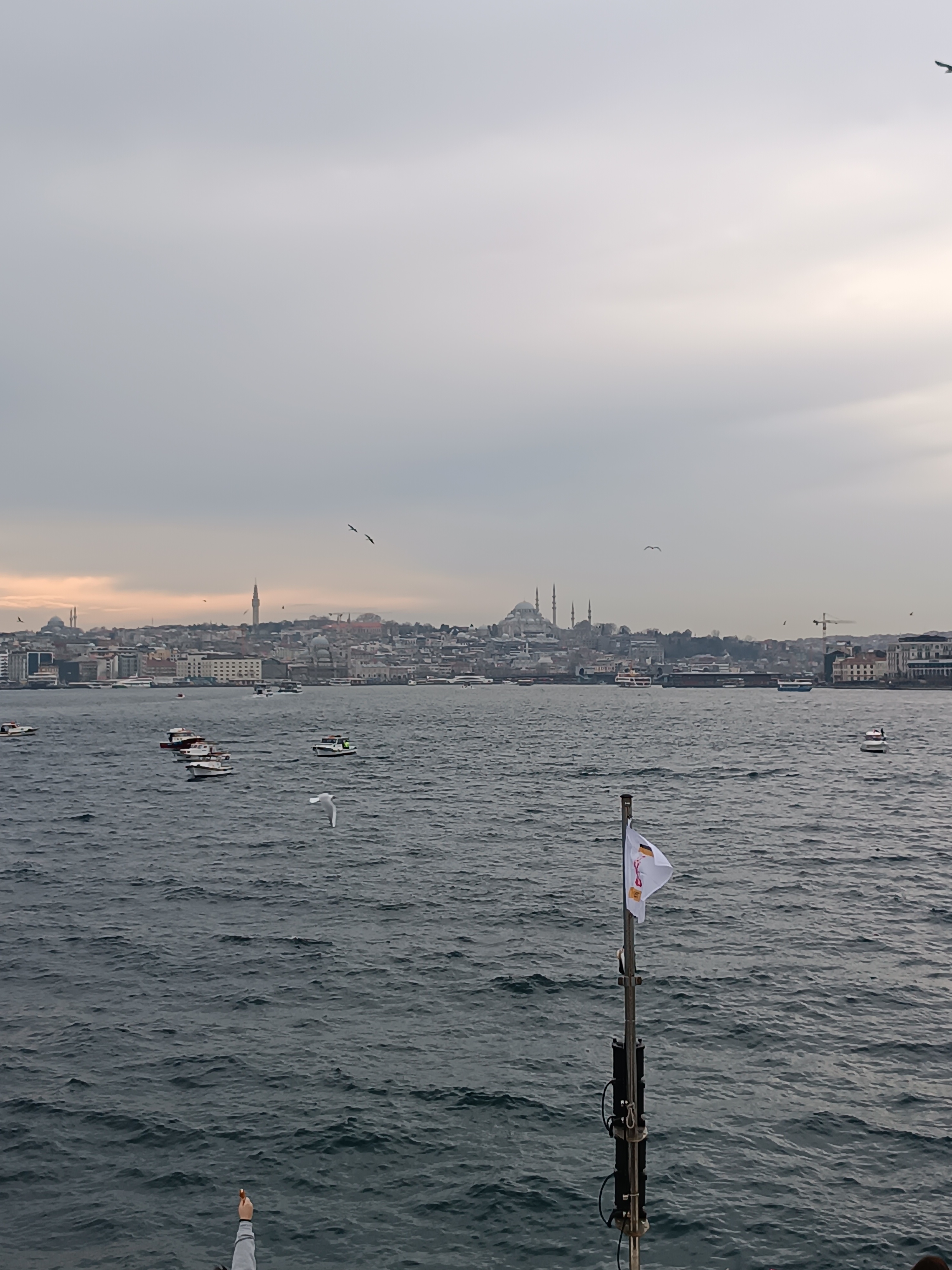 IMG_20250130_162748.jpg