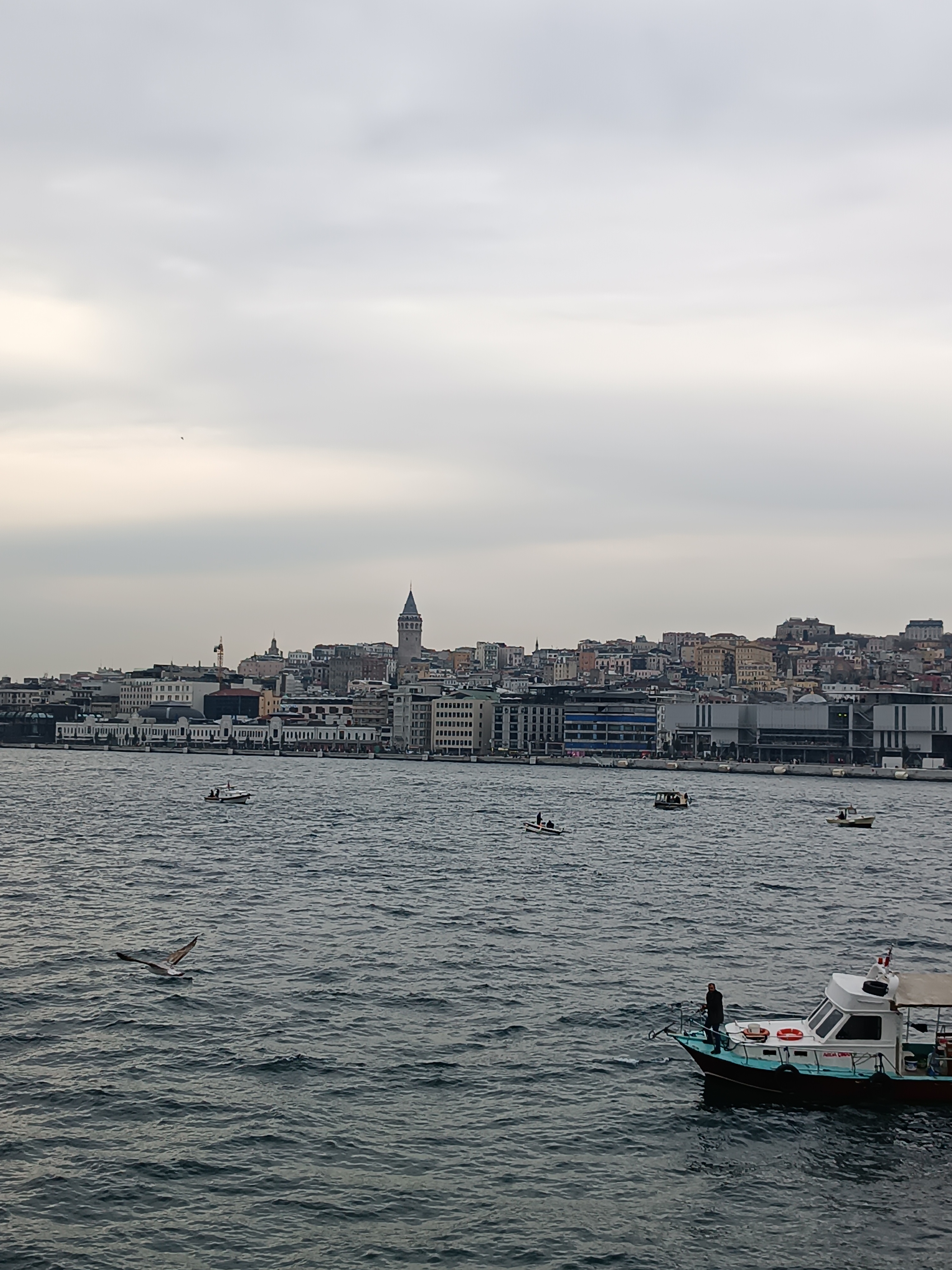 IMG_20250130_162802.jpg