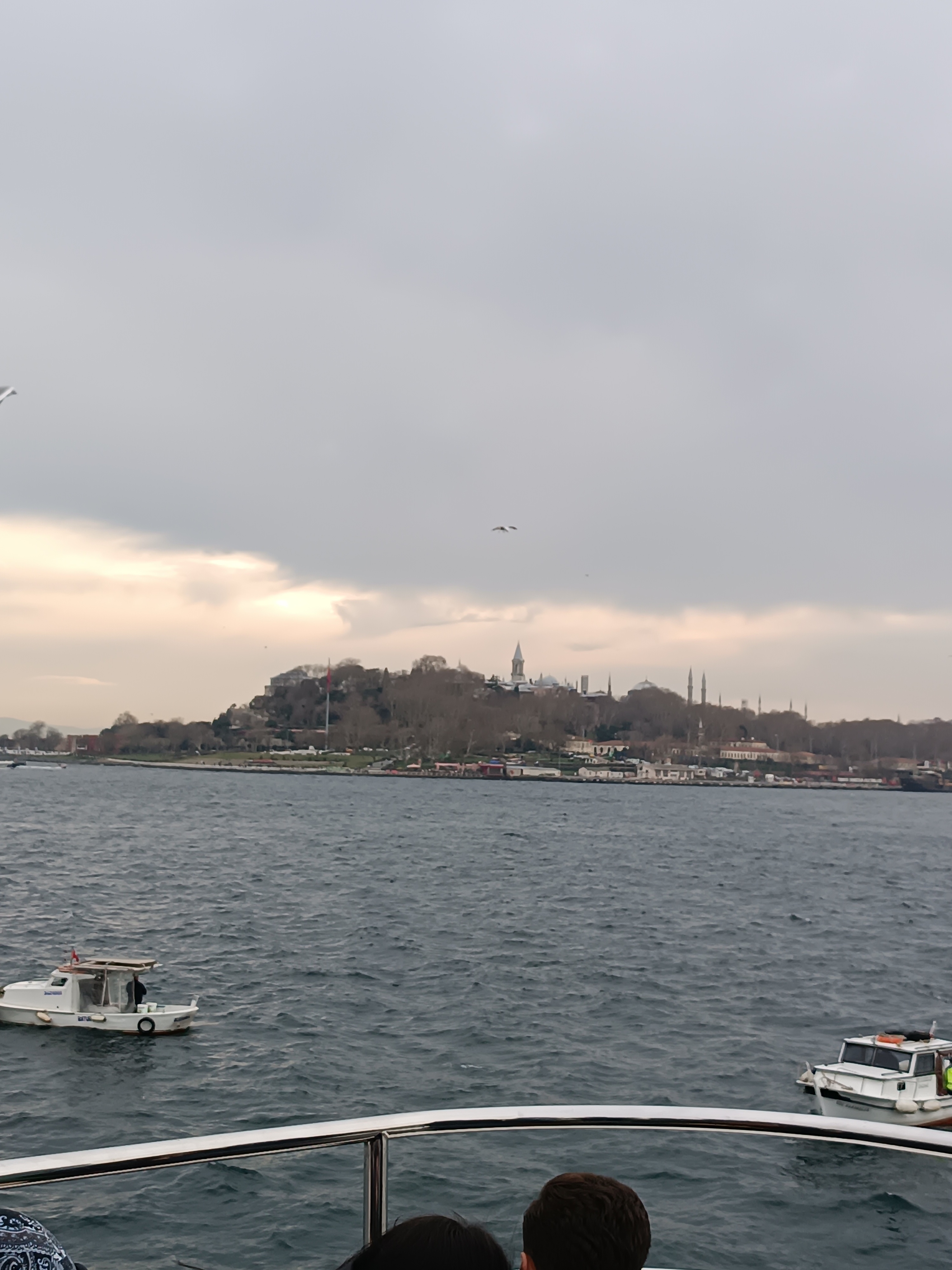 IMG_20250130_162816.jpg