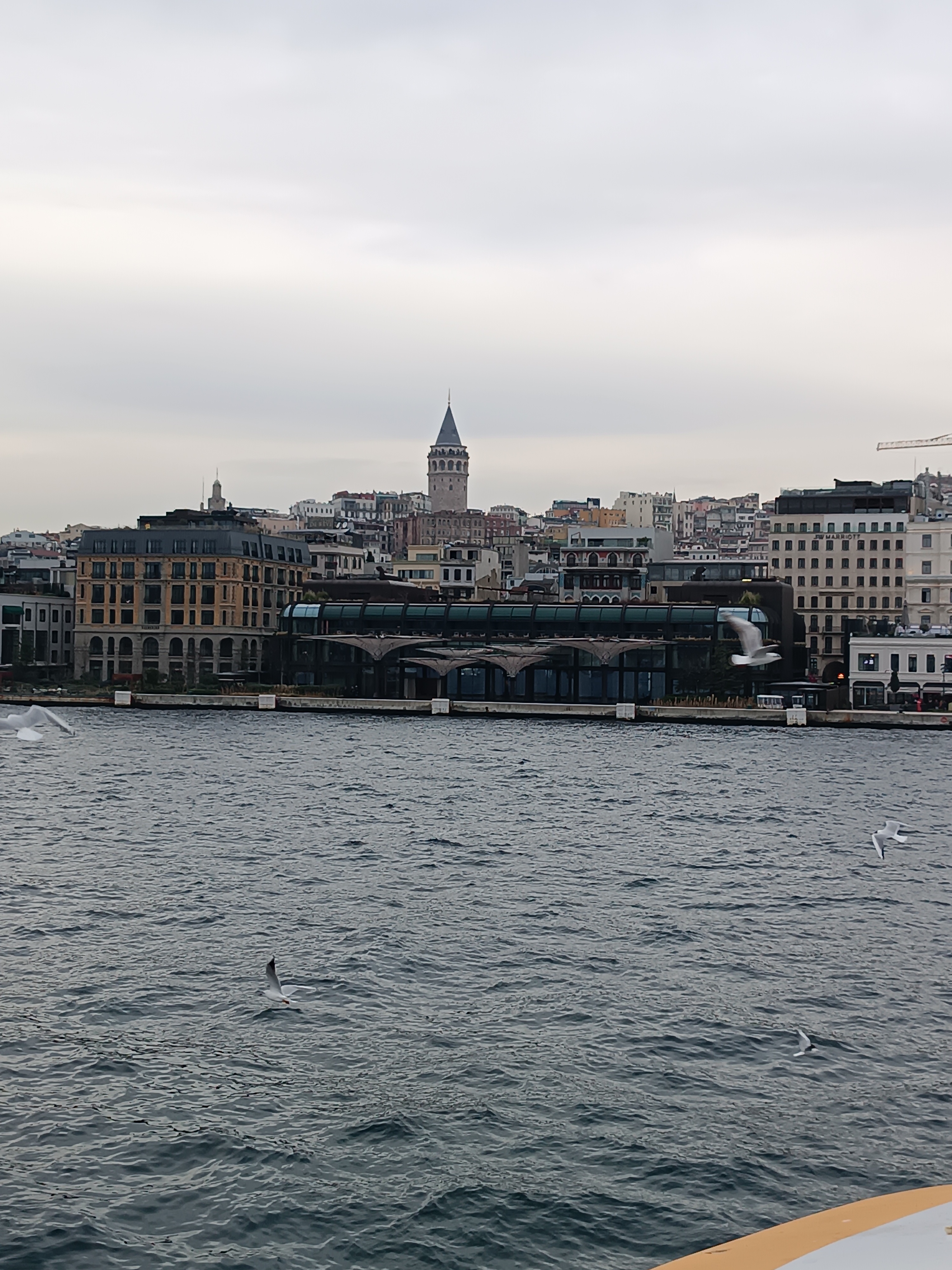 IMG_20250130_163000.jpg