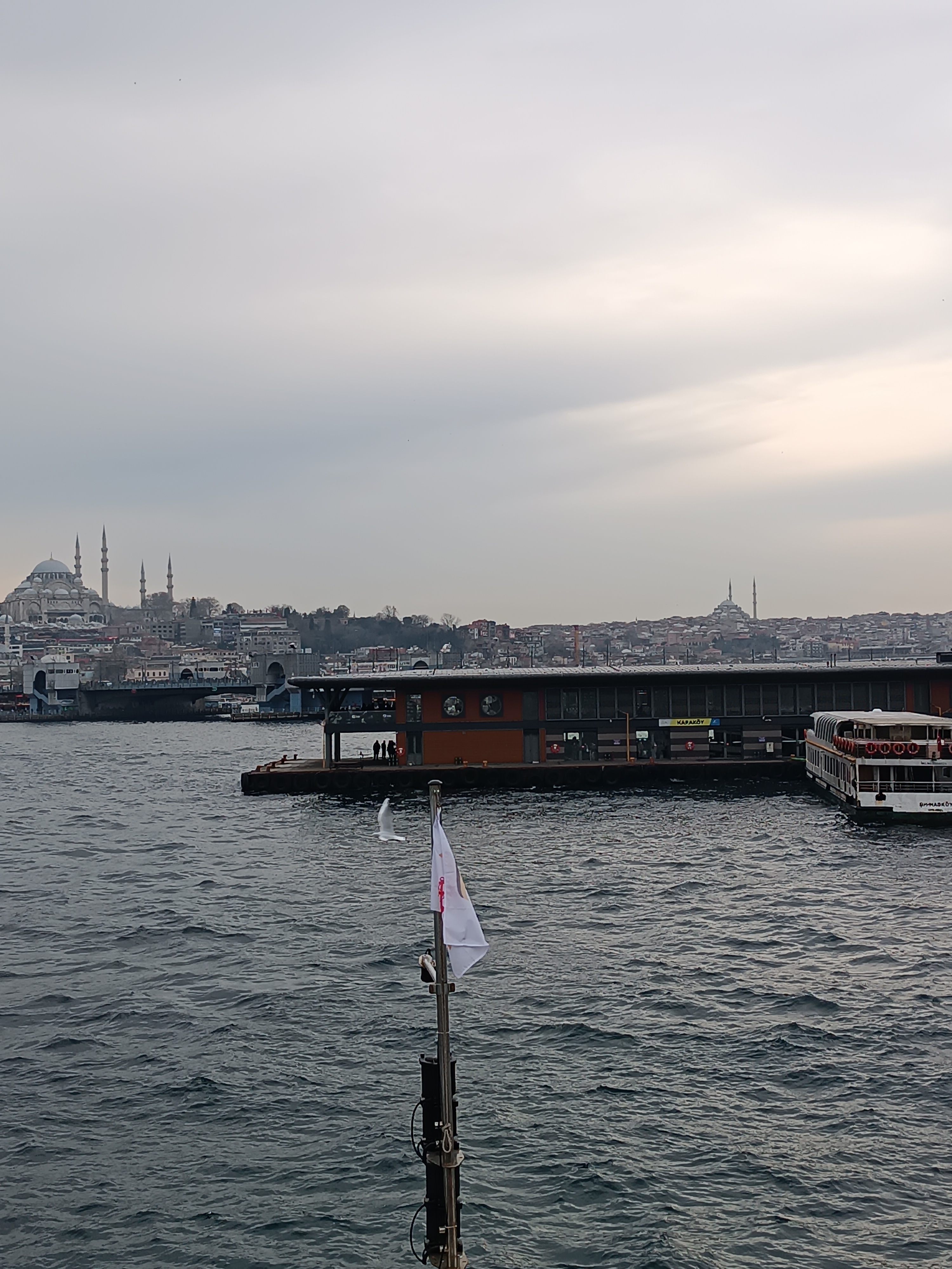 IMG_20250130_163104.jpg