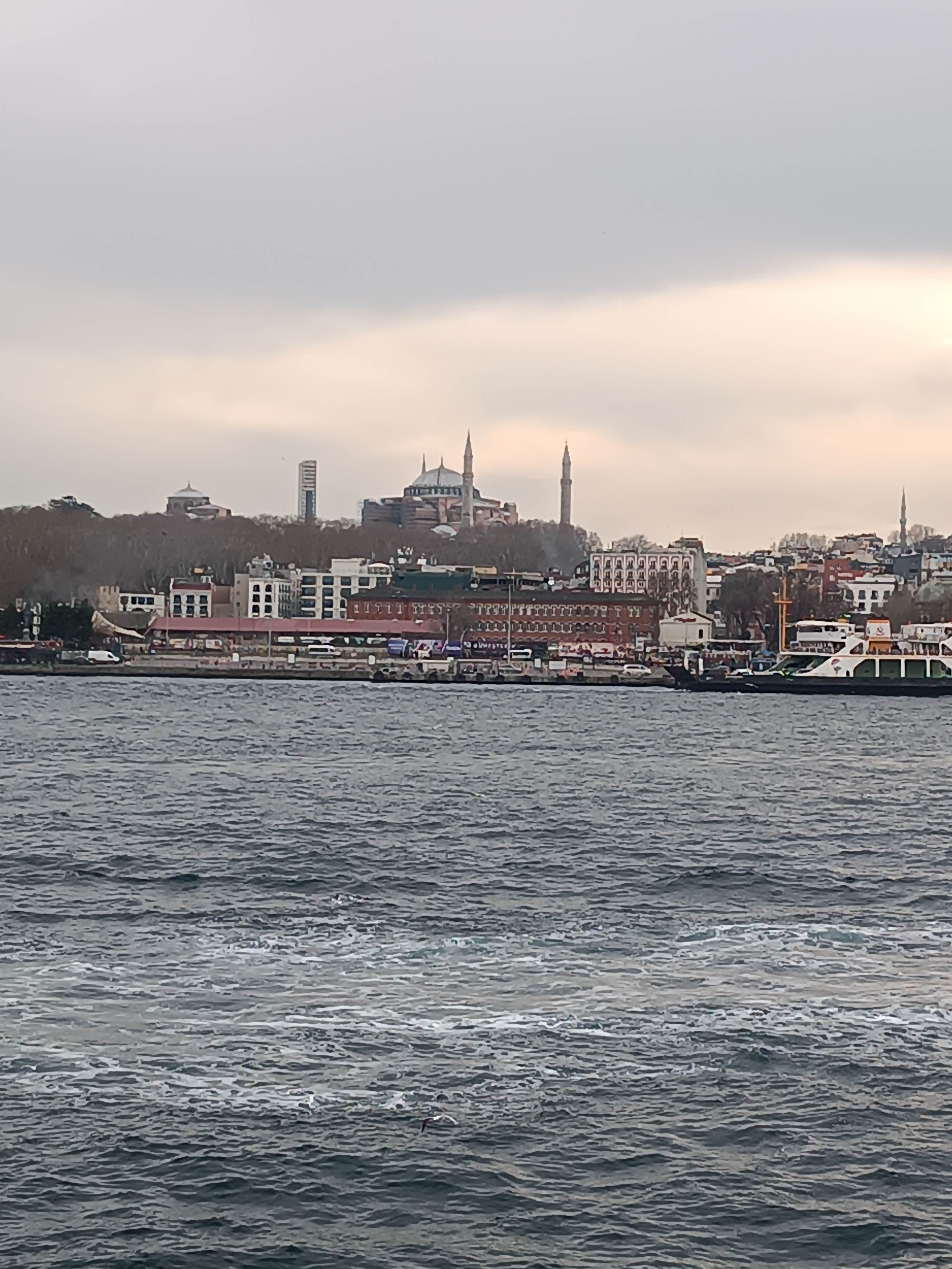 IMG_20250130_163241.jpg