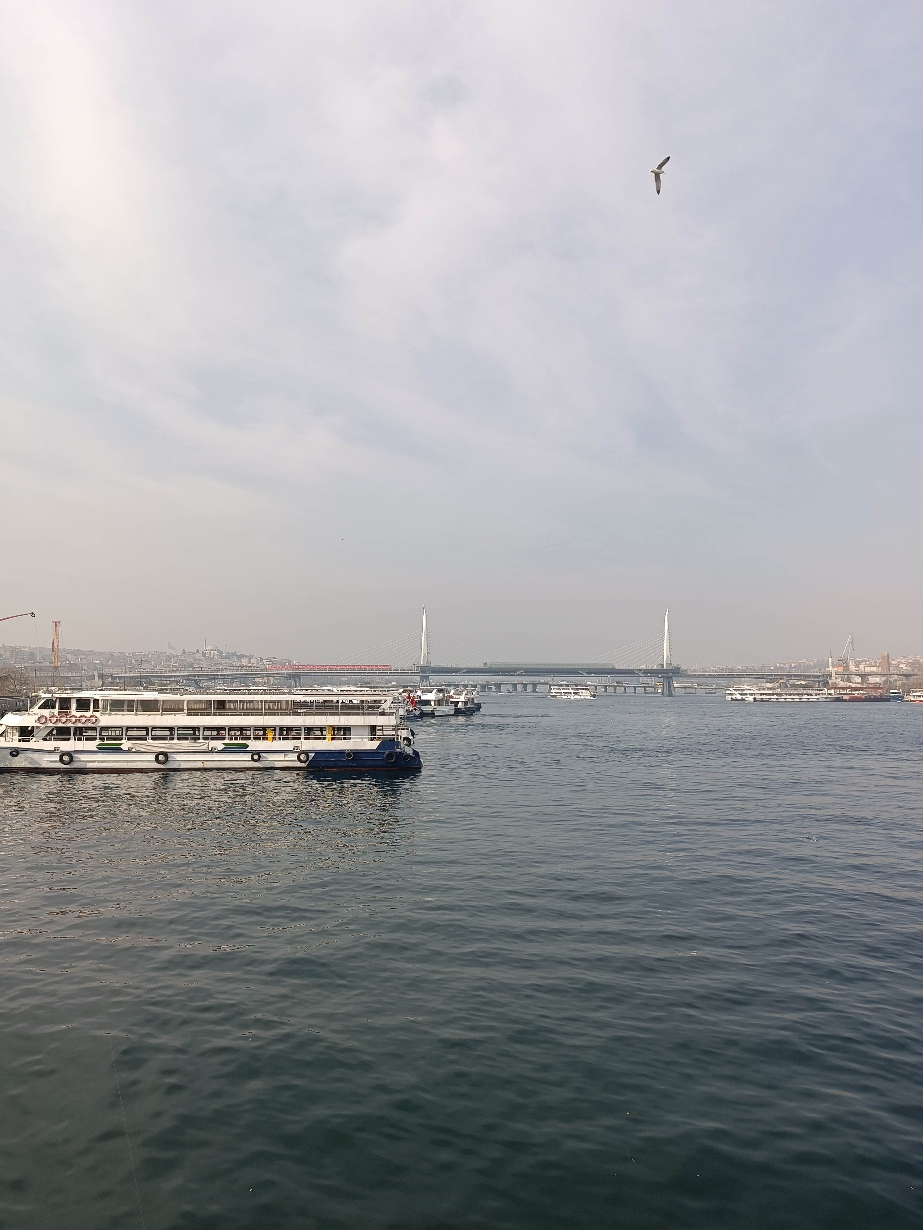 IMG_20250131_140936.jpg