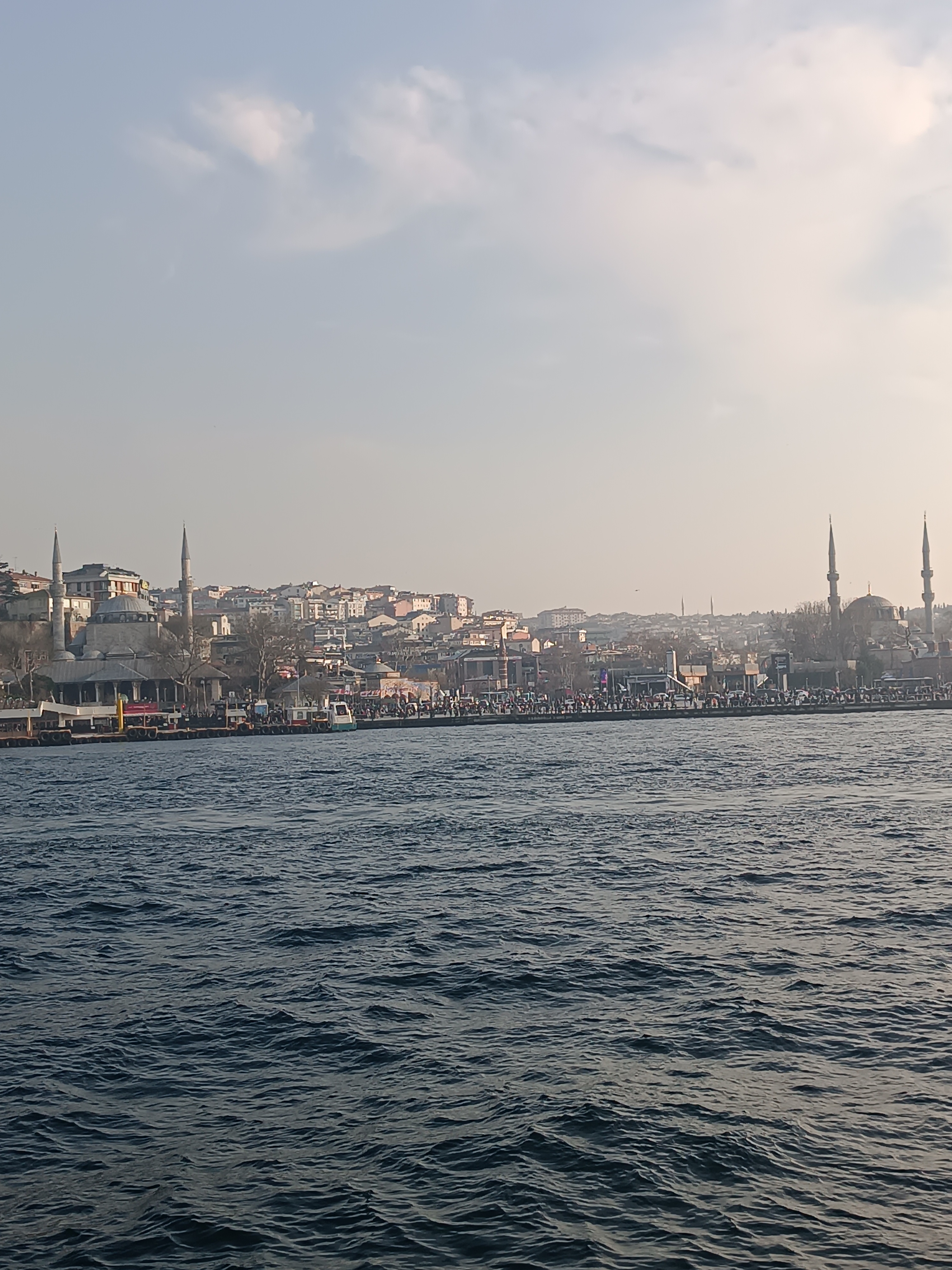 IMG_20250131_161018.jpg