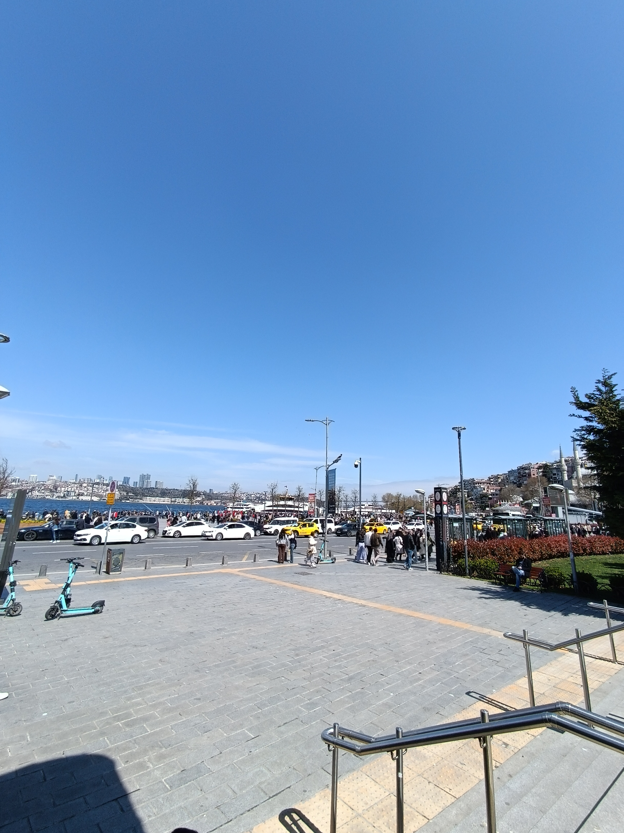 IMG_20250404_125047.jpg