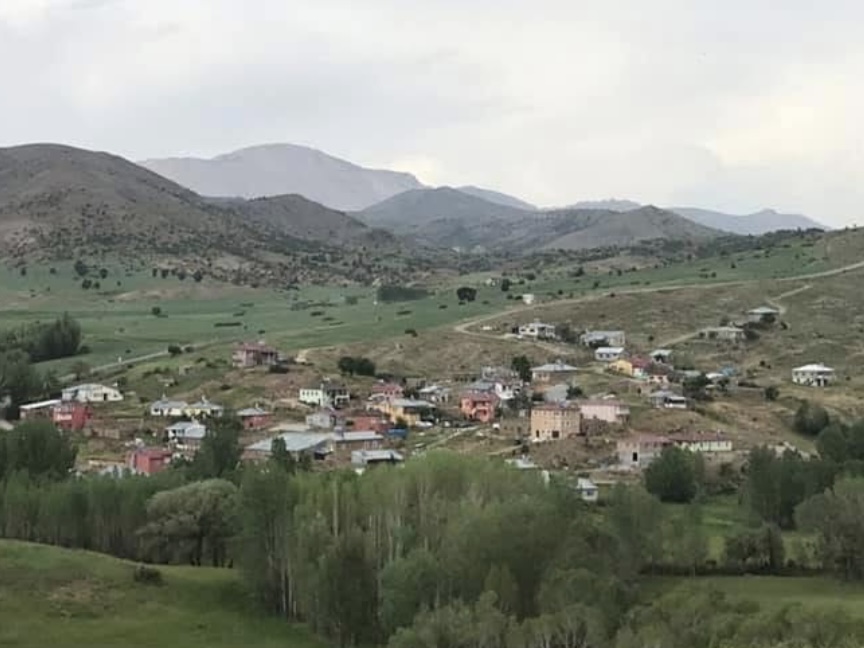 IMG_4104.jpeg