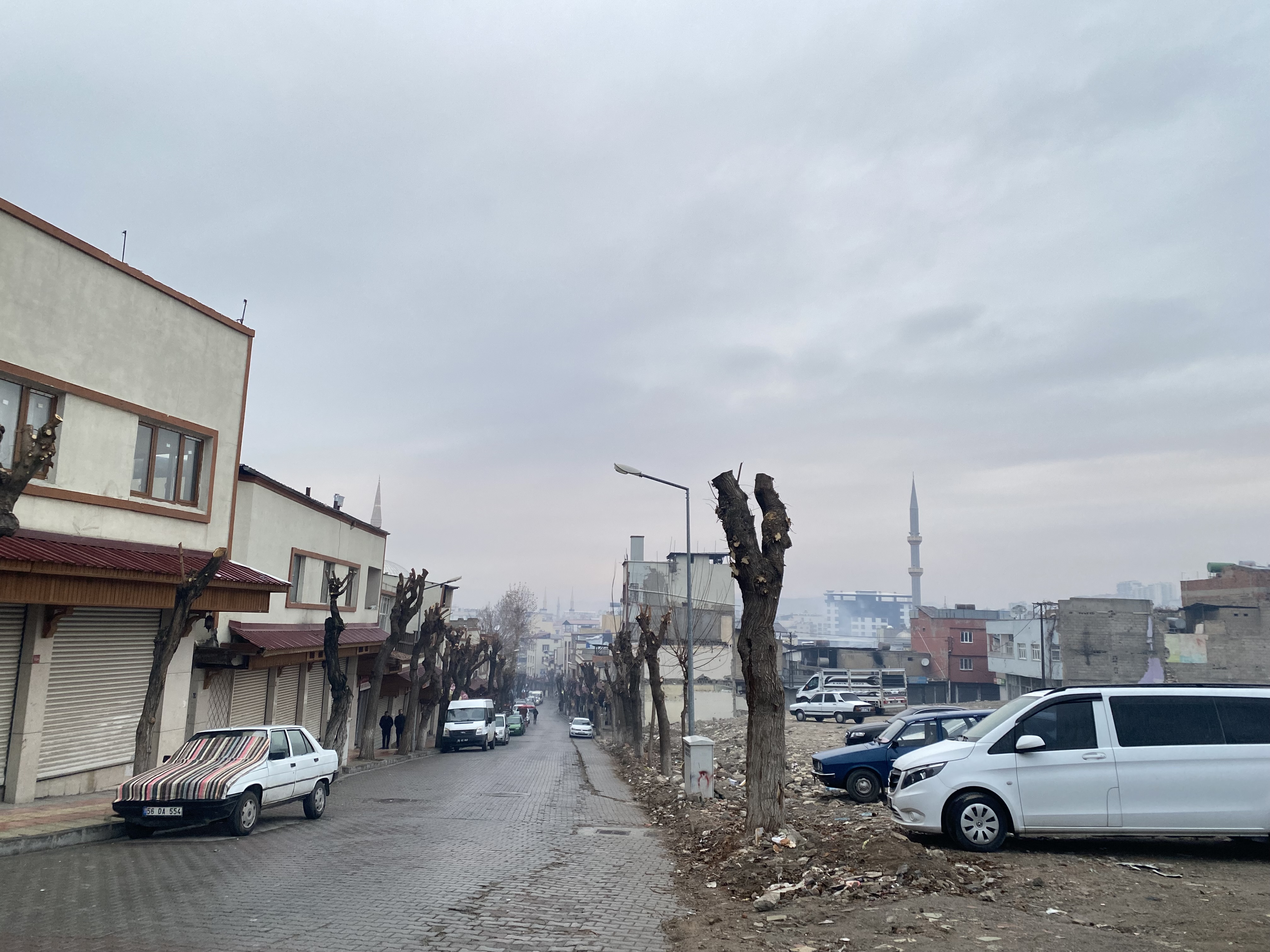 IMG_5189.jpeg