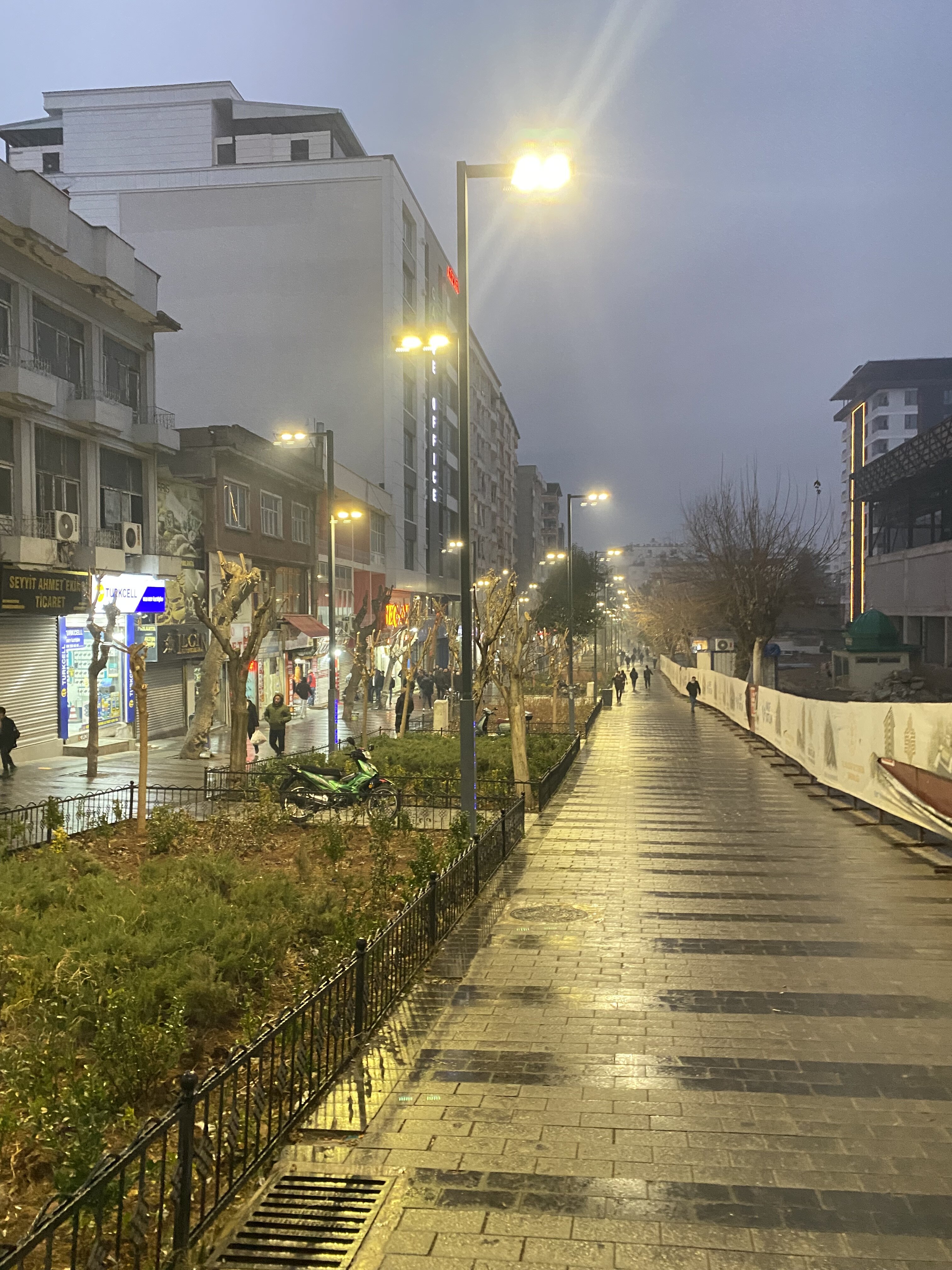 IMG_5205.jpeg