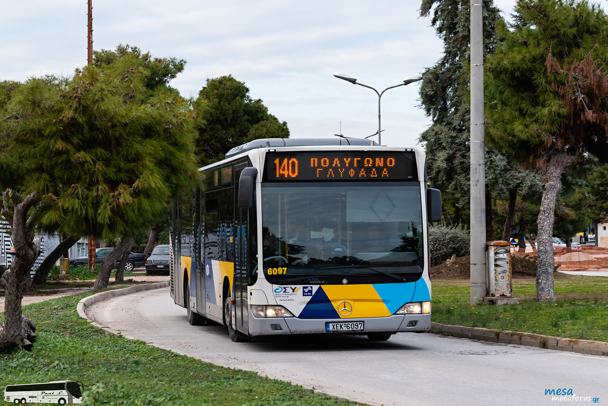 normal__PLB7138.jpg