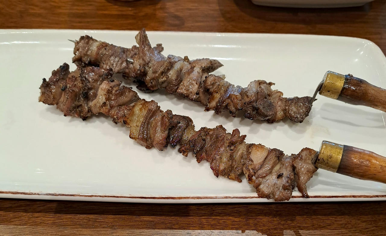 turkish_kebap_by_galopper_dgqo5te-fullview (1).jpg