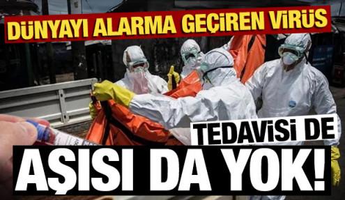 yetkilileri_harekete_geciren_virus_tedavisi_de_asisi_da_yok_1728157304_8933-low.jpg