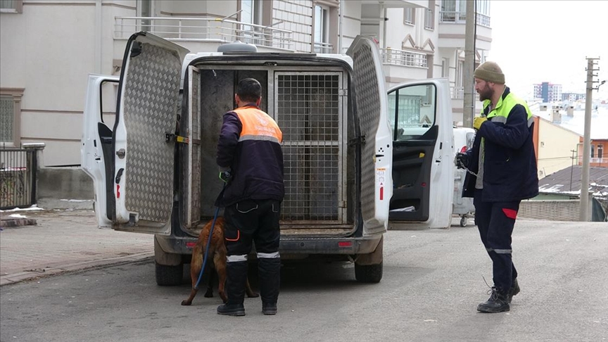 Sivas'ta köpeğin saldırdığı 2'si çocuk, 4 kişi yaralandı