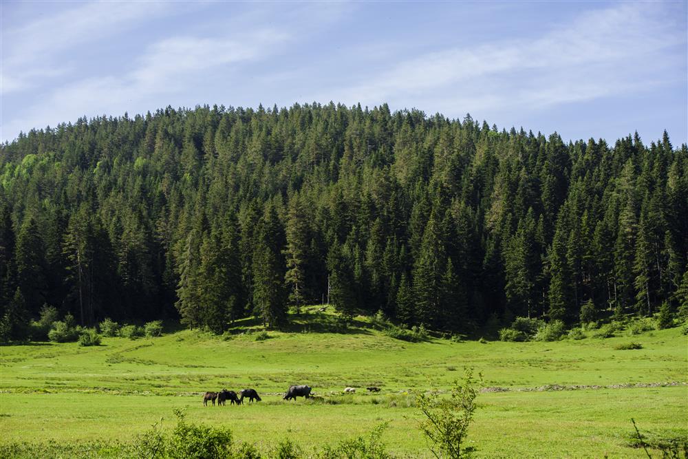 12. fotoğraf uluyayla.jpg