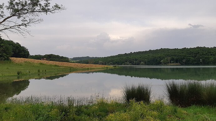 Reisler_Okçular_Lake_at_Sakarya_Kaynarca_(10)