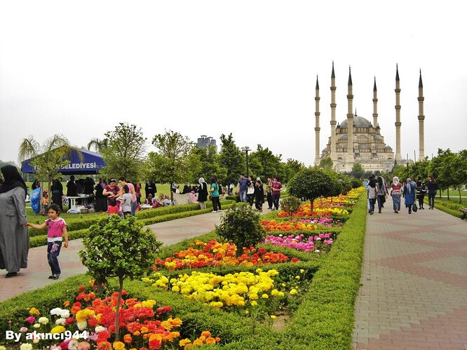 Adana-55-1030x773